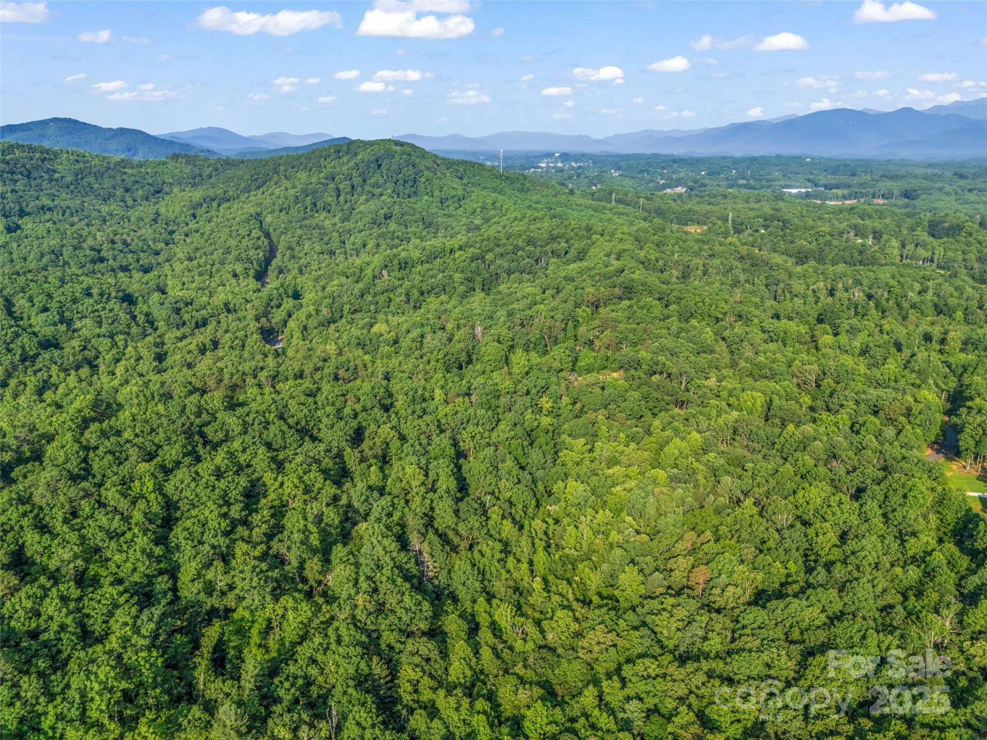 0 Forest Country Drive #Lot 49 - Photo 17