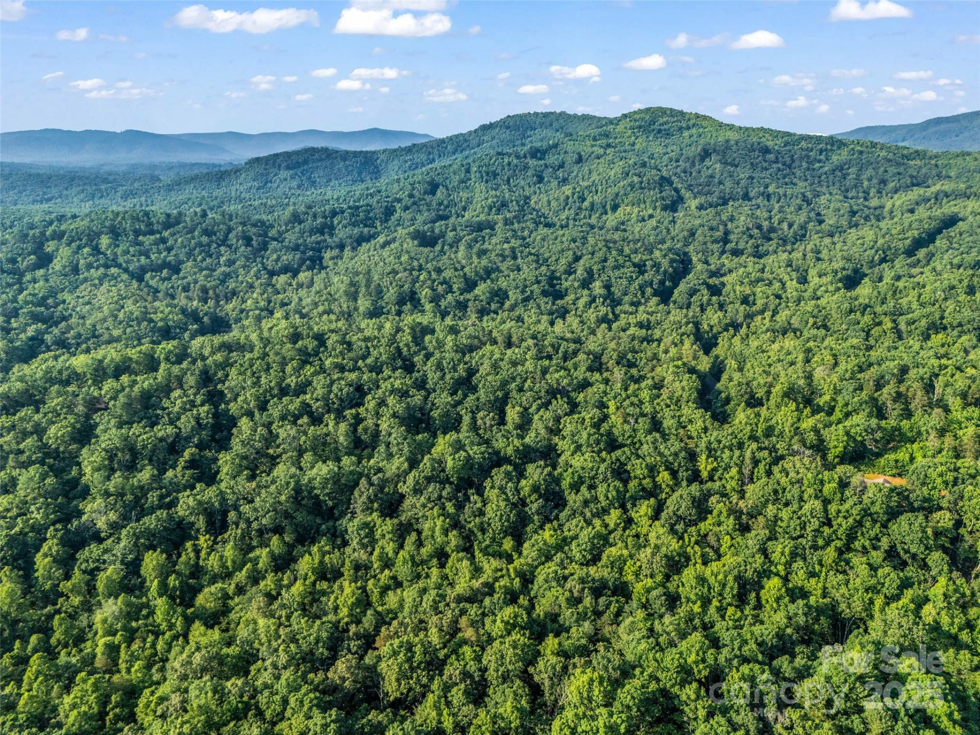 0 Forest Country Drive #Lot 49 - Photo 18