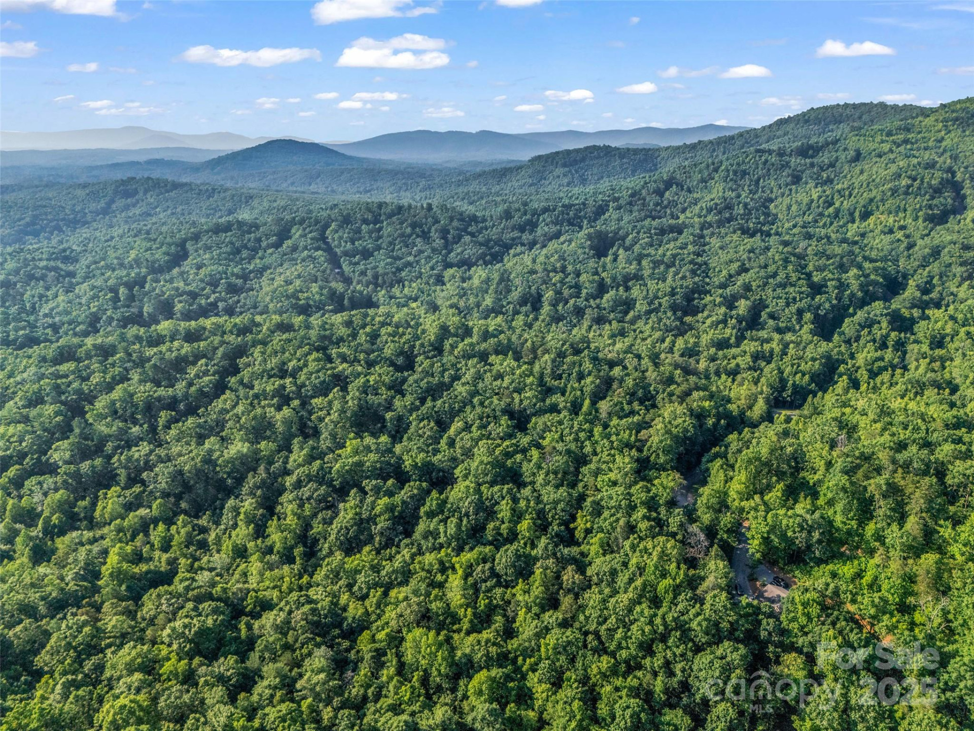 0 Forest Country Drive #Lot 49 - Photo 19