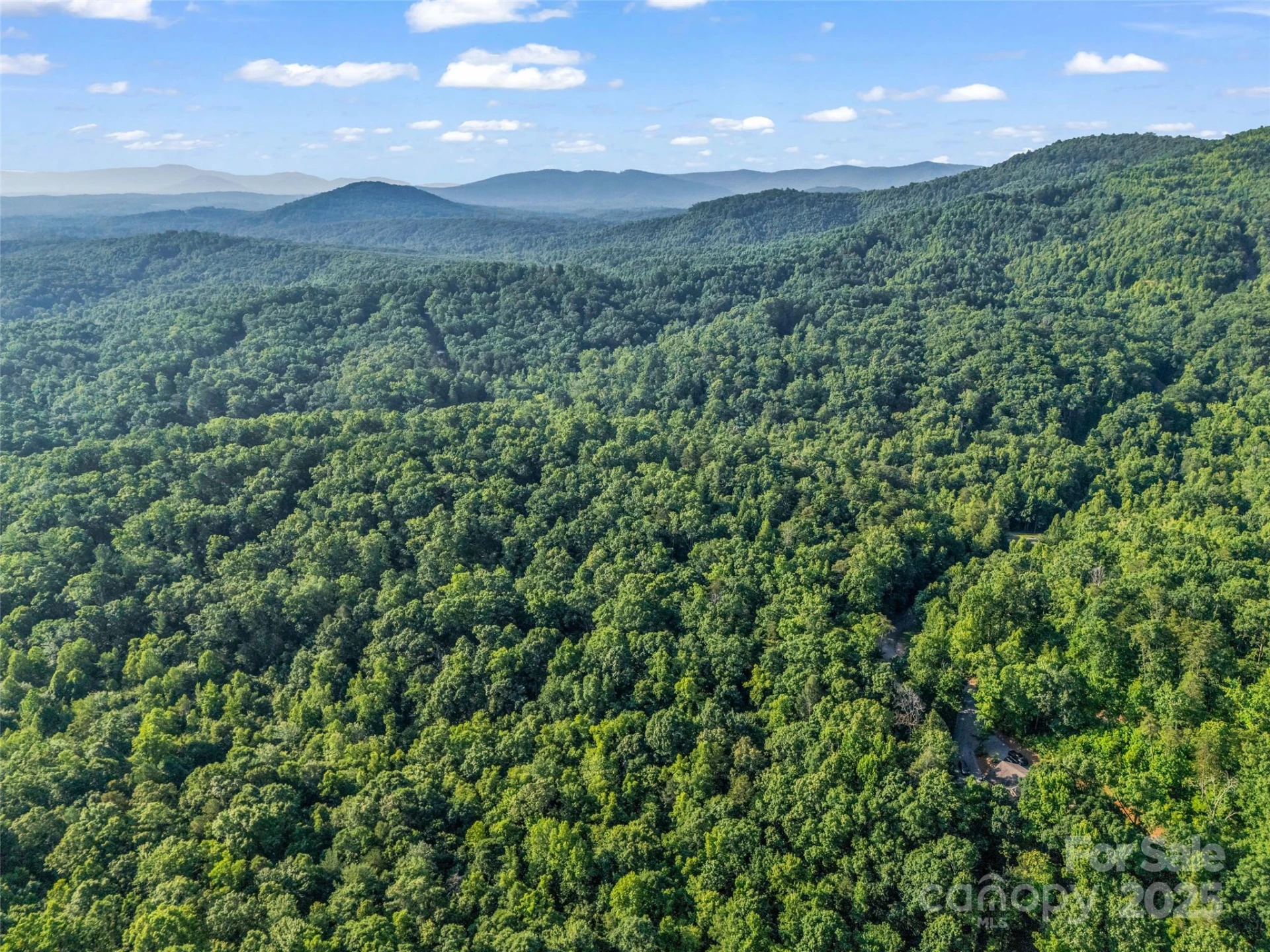 0 Forest Country Drive #Lot 49 - Photo 19