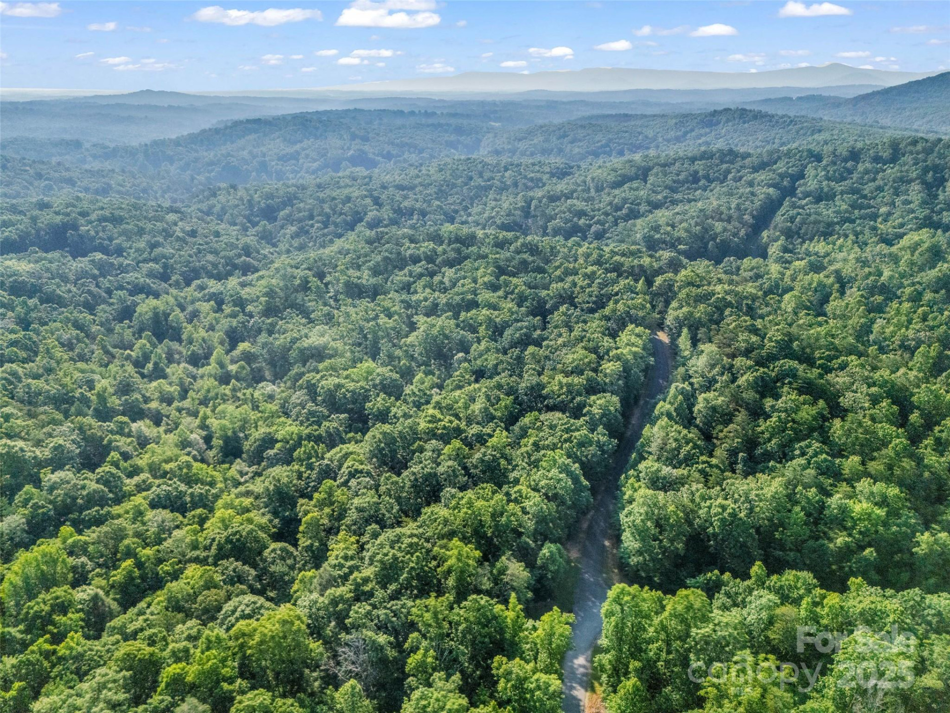 0 Forest Country Drive #Lot 49 - Photo 20