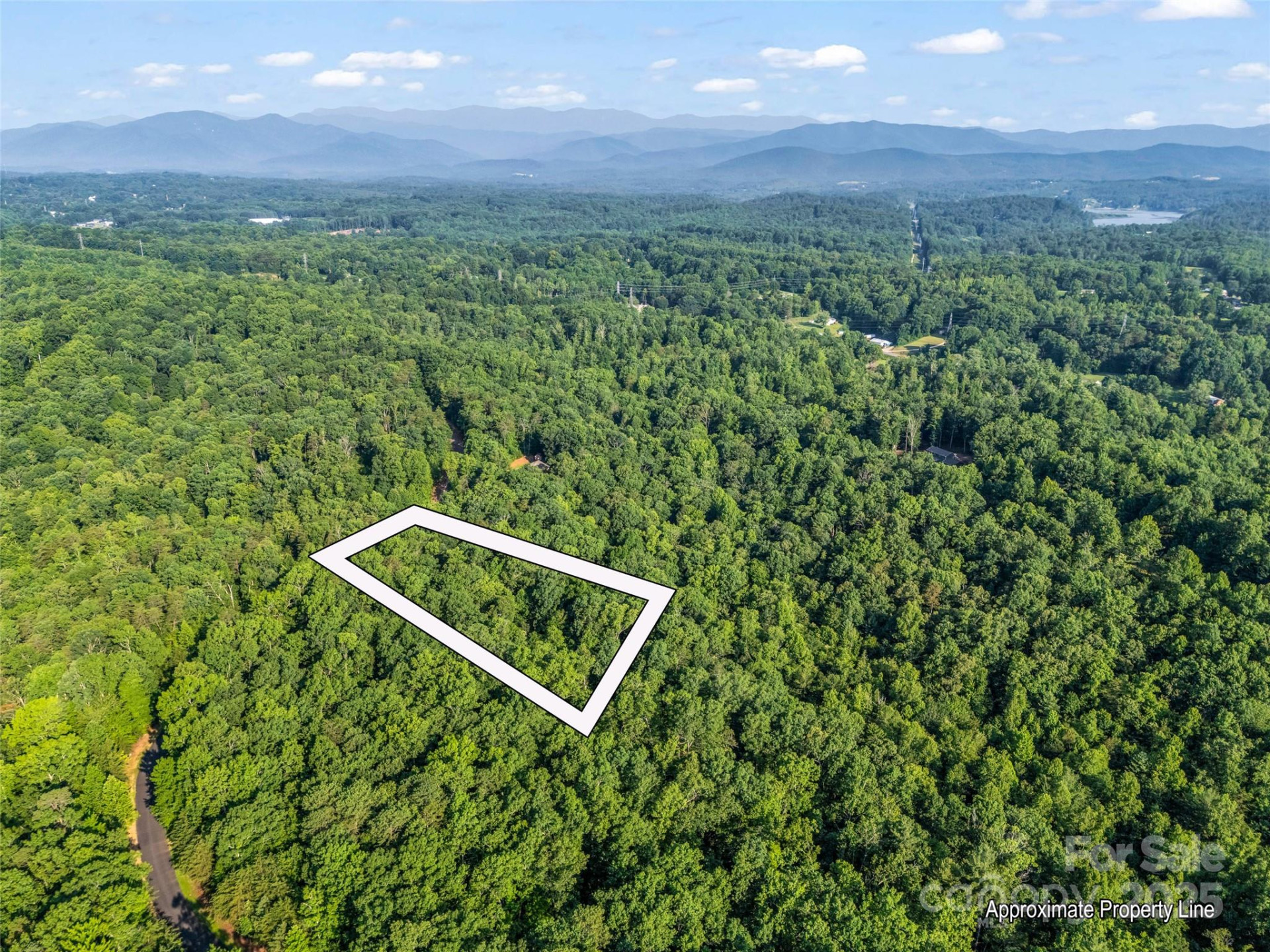 0 Forest Country Drive #Lot 49 - Photo 3