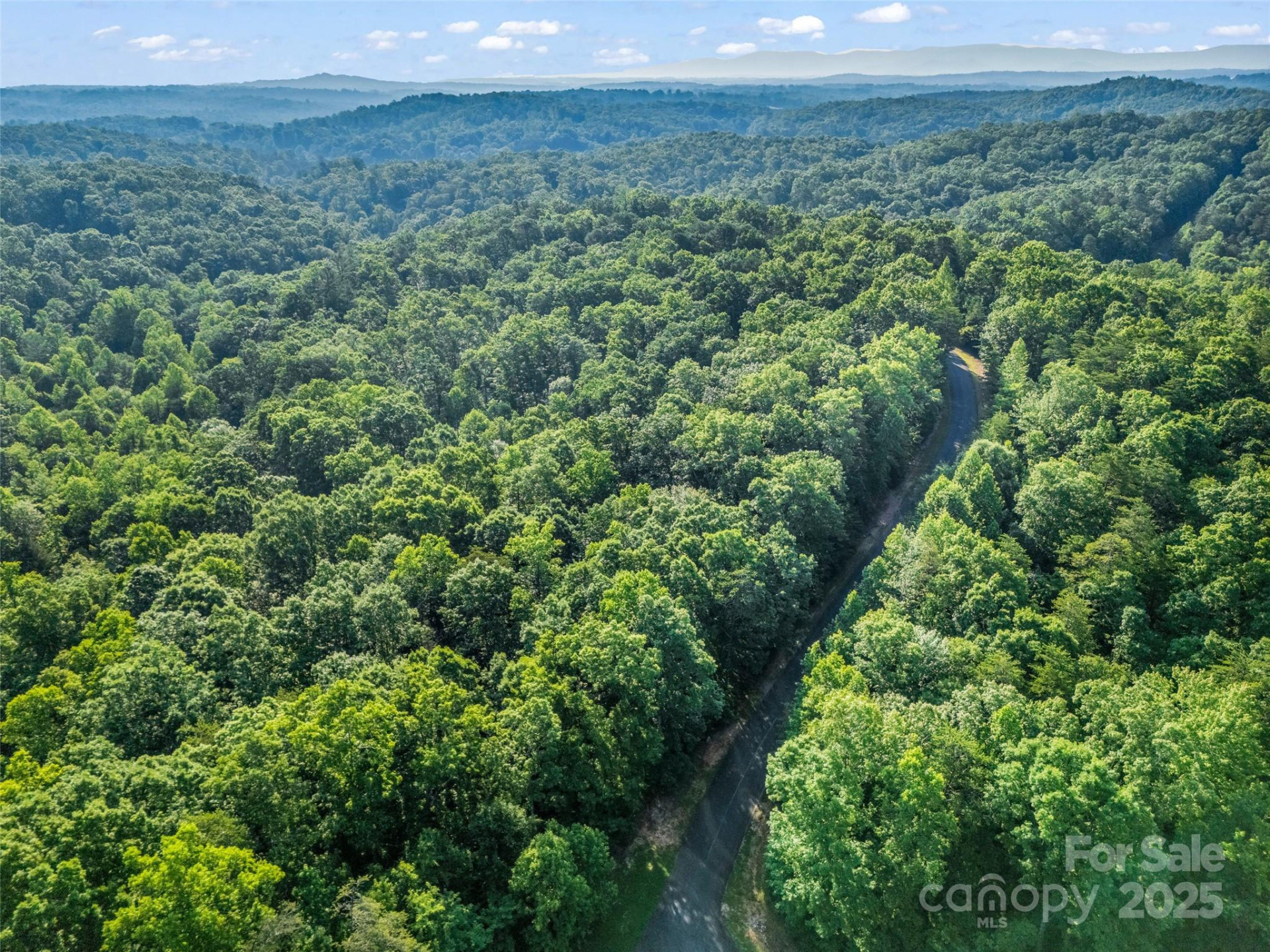0 Forest Country Drive #Lot 49 - Photo 21