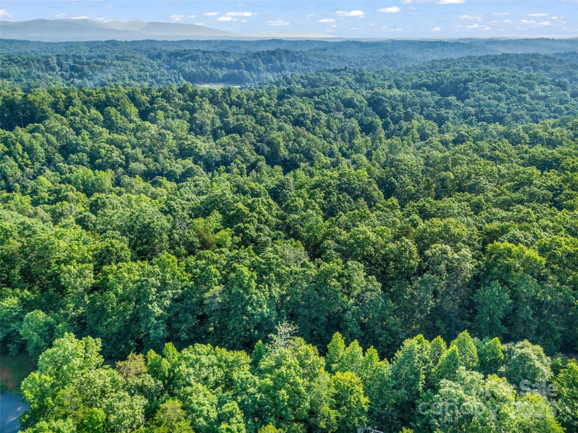 0 Forest Country Drive #Lot 49 - Photo 22