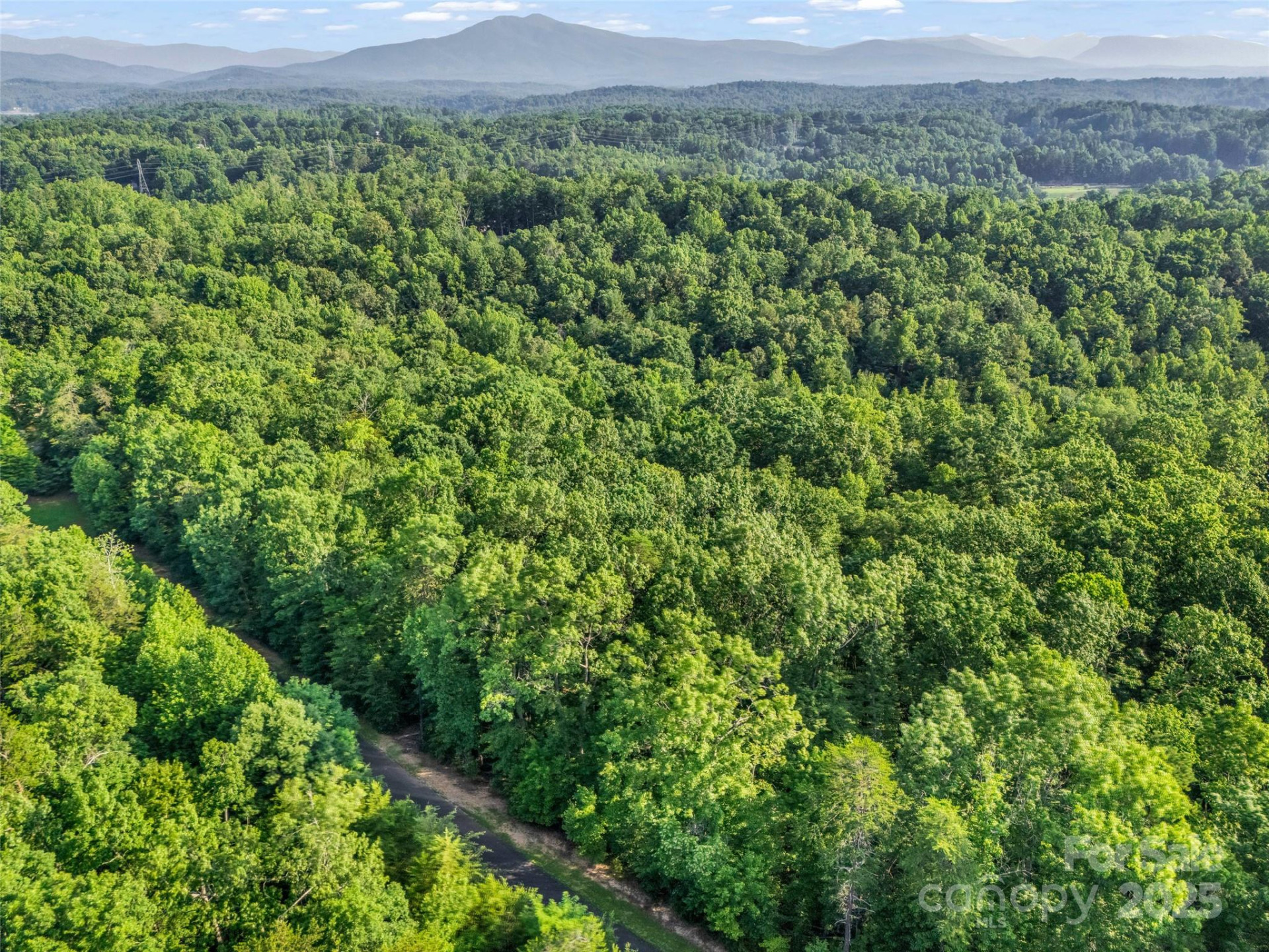 0 Forest Country Drive #Lot 49 - Photo 23