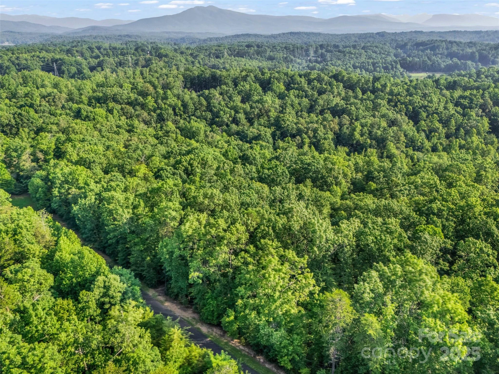 0 Forest Country Drive #Lot 49 - Photo 23