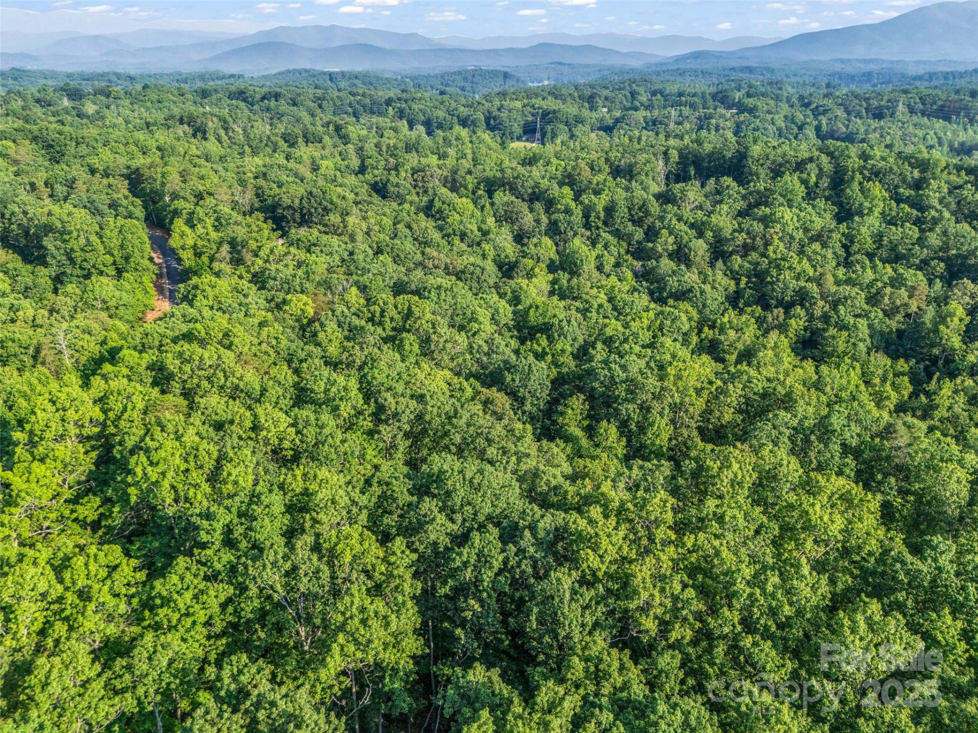 0 Forest Country Drive #Lot 49 - Photo 24