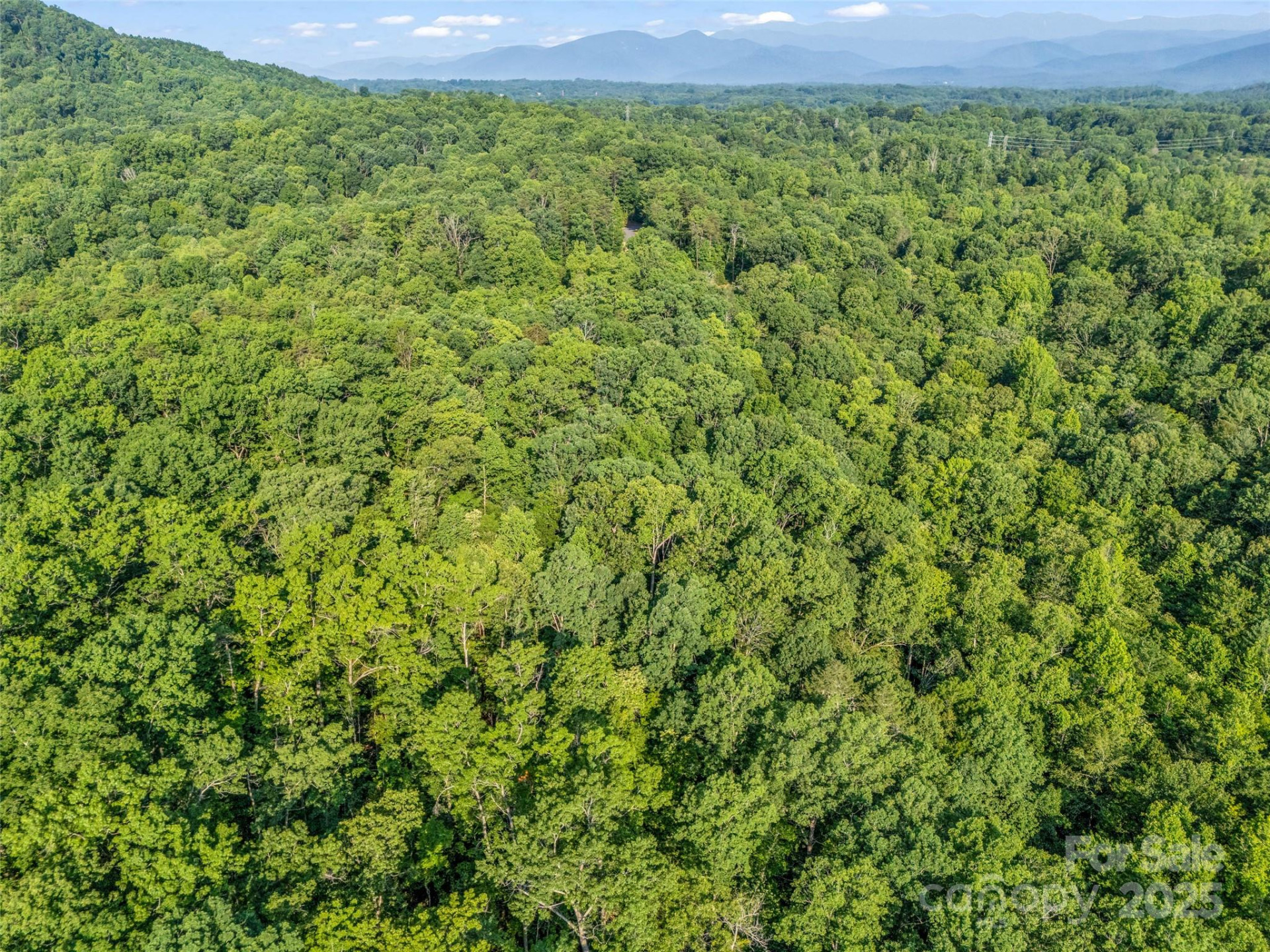 0 Forest Country Drive #Lot 49 - Photo 25
