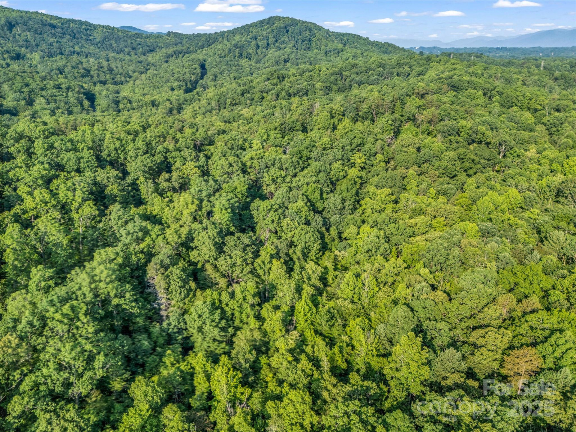 0 Forest Country Drive #Lot 49 - Photo 26