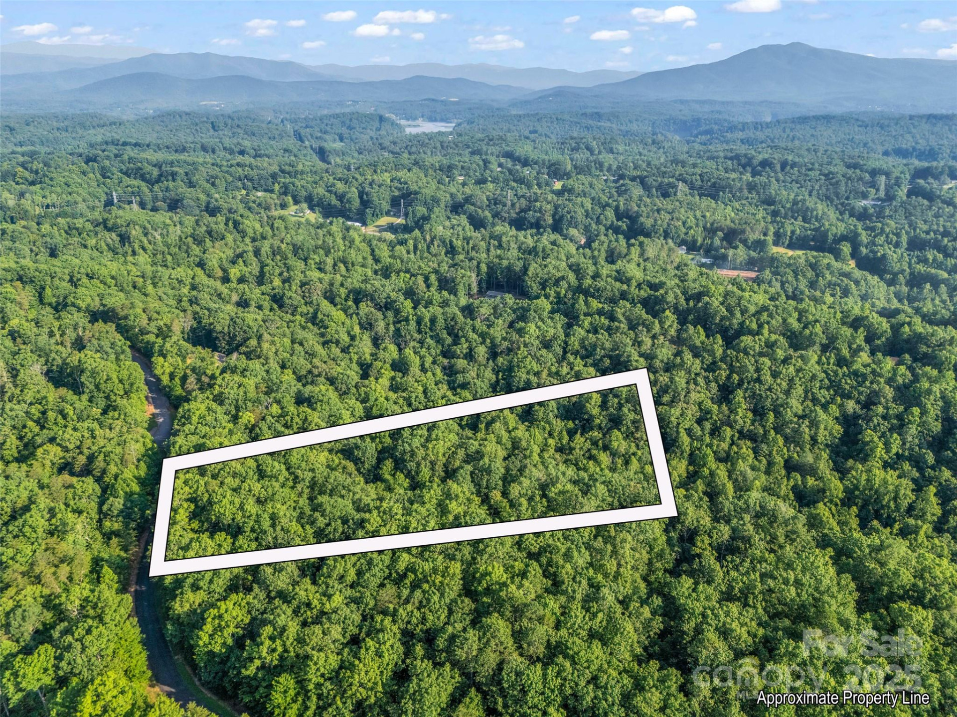 0 Forest Country Drive #Lot 49 - Photo 4