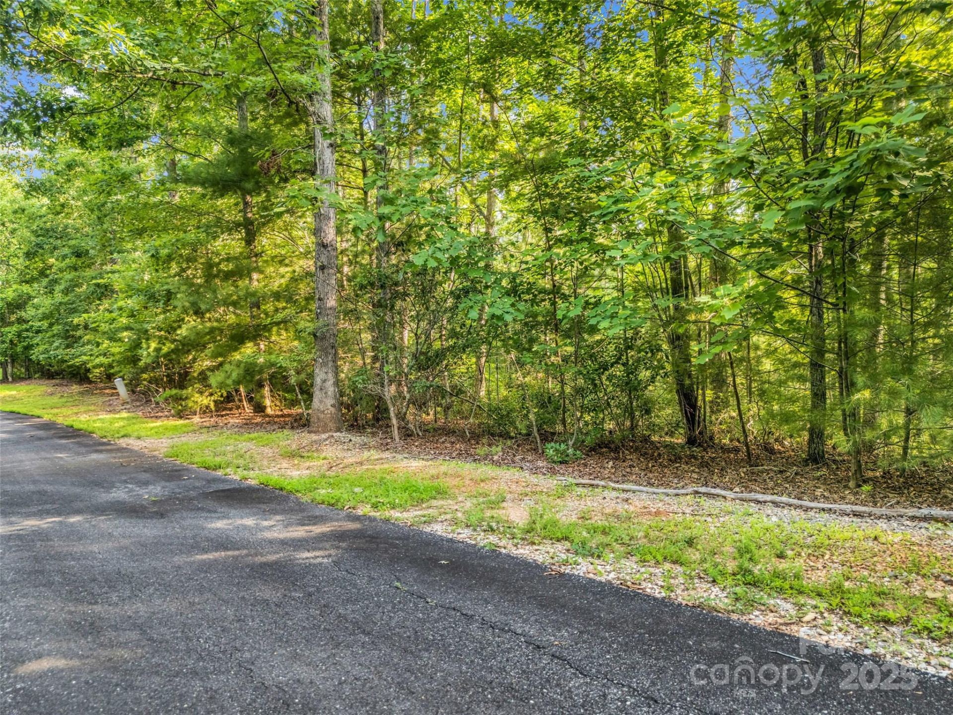 0 Forest Country Drive #Lot 49 - Photo 7