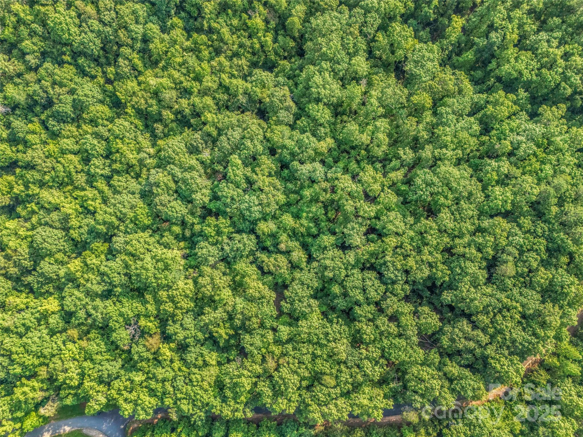 0 Forest Country Drive #Lot 49 - Photo 10