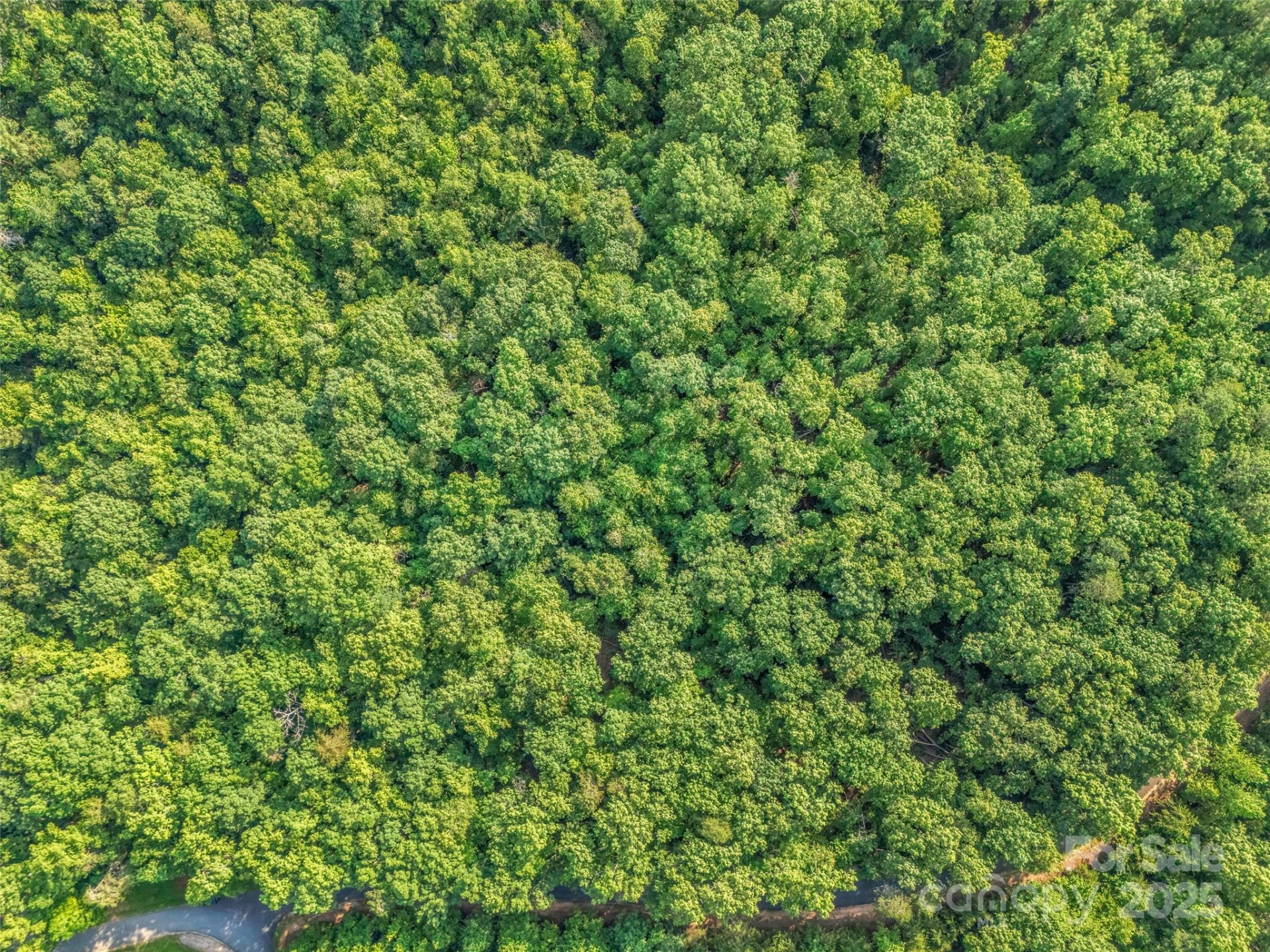 0 Forest Country Drive #Lot 49 - Photo 10