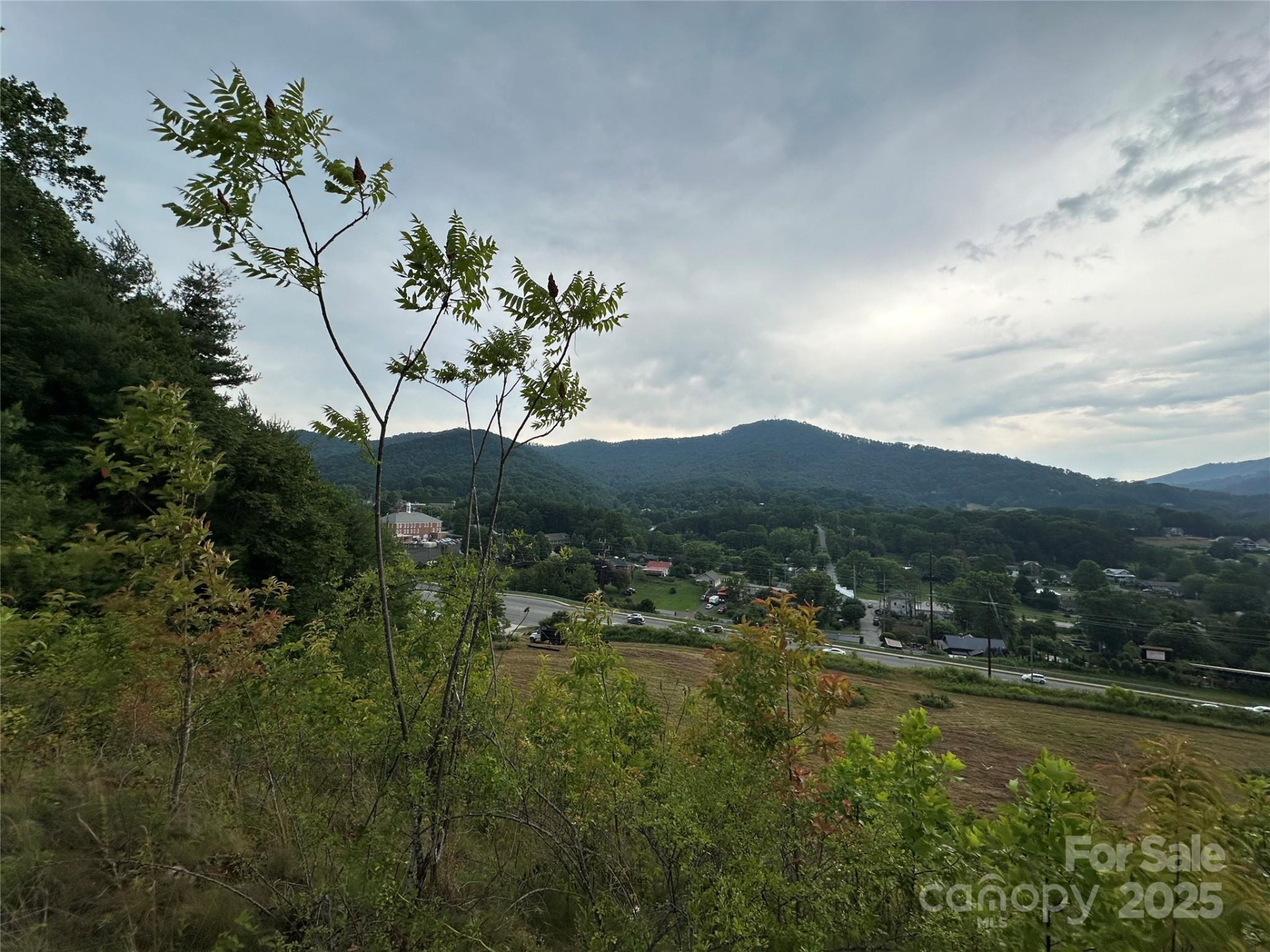 32 Hwy 19E Highway - Photo 12