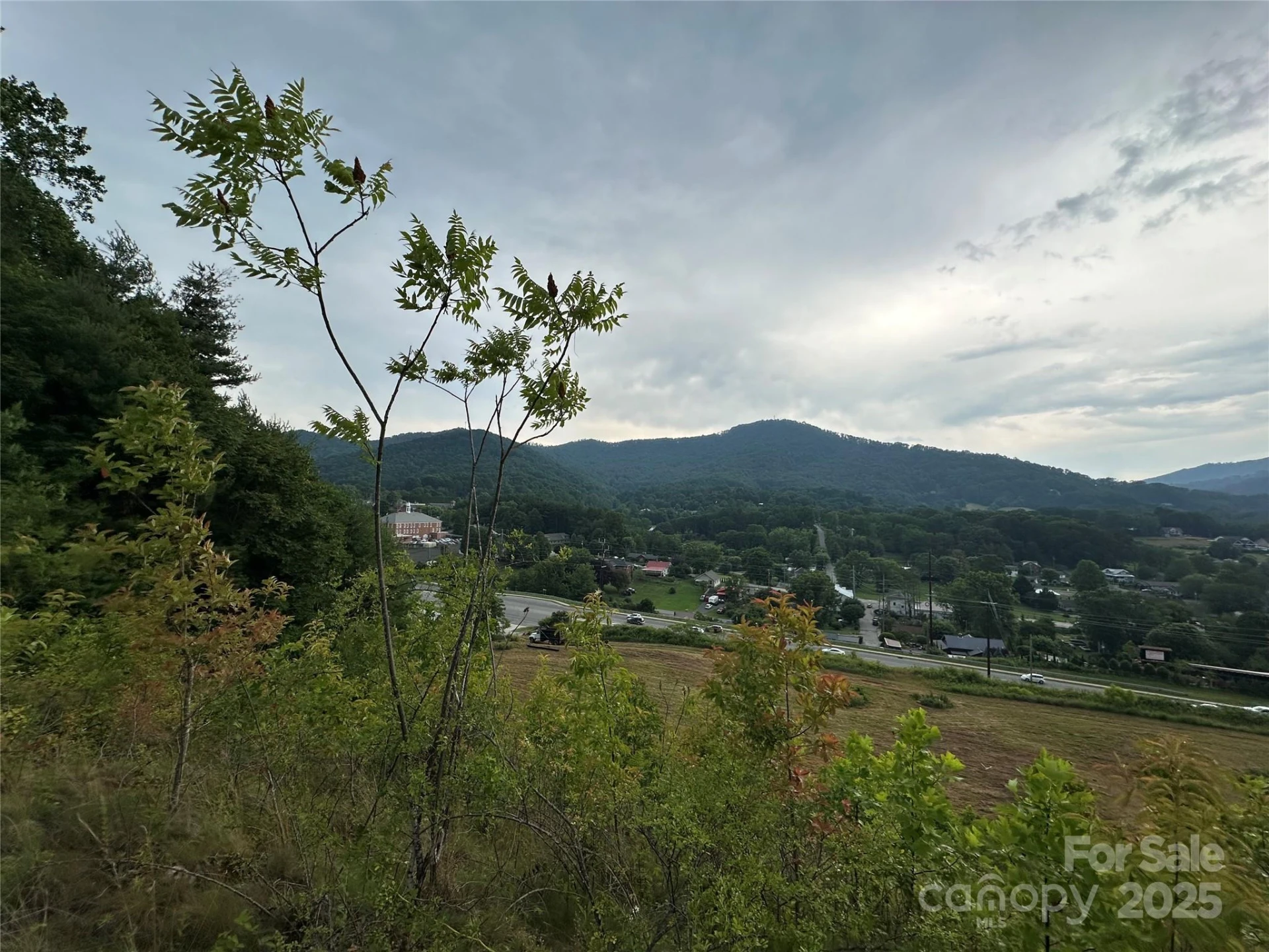 32 Hwy 19E Highway - Photo 12