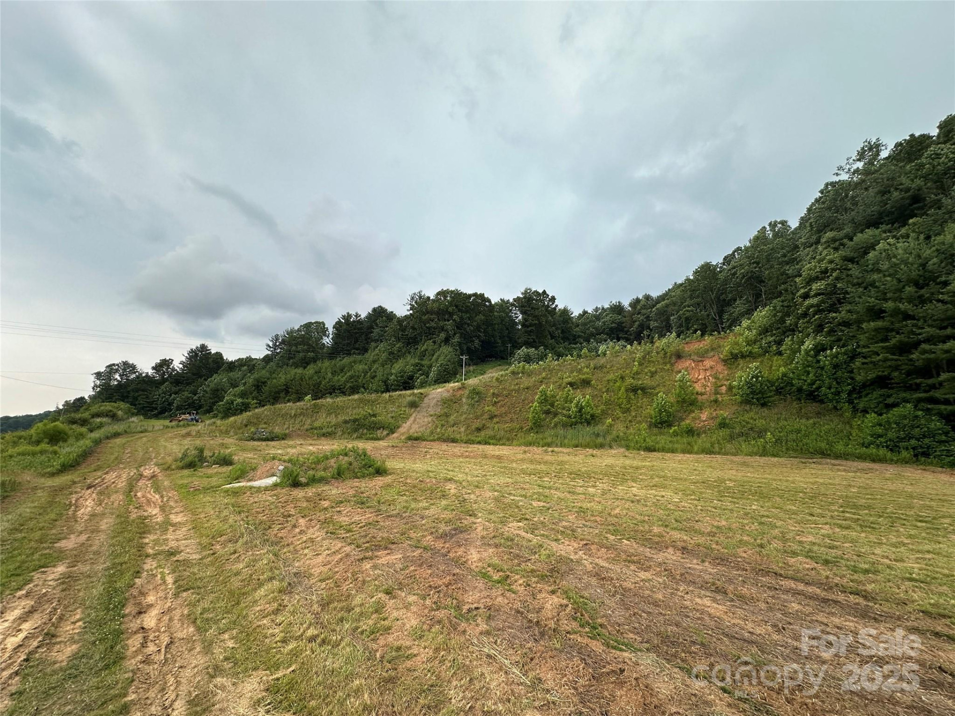 32 Hwy 19E Highway - Photo 16