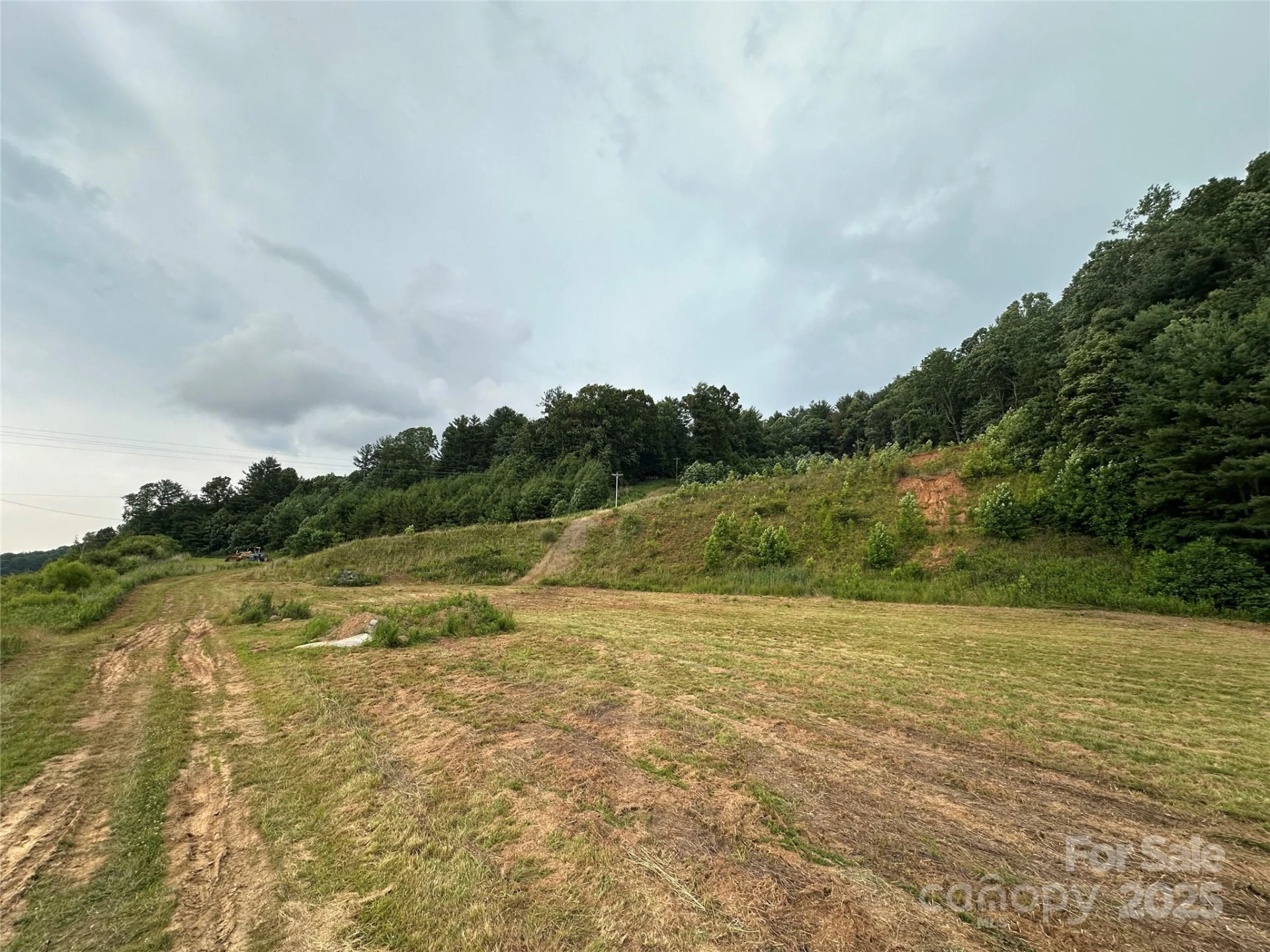 32 Hwy 19E Highway - Photo 16