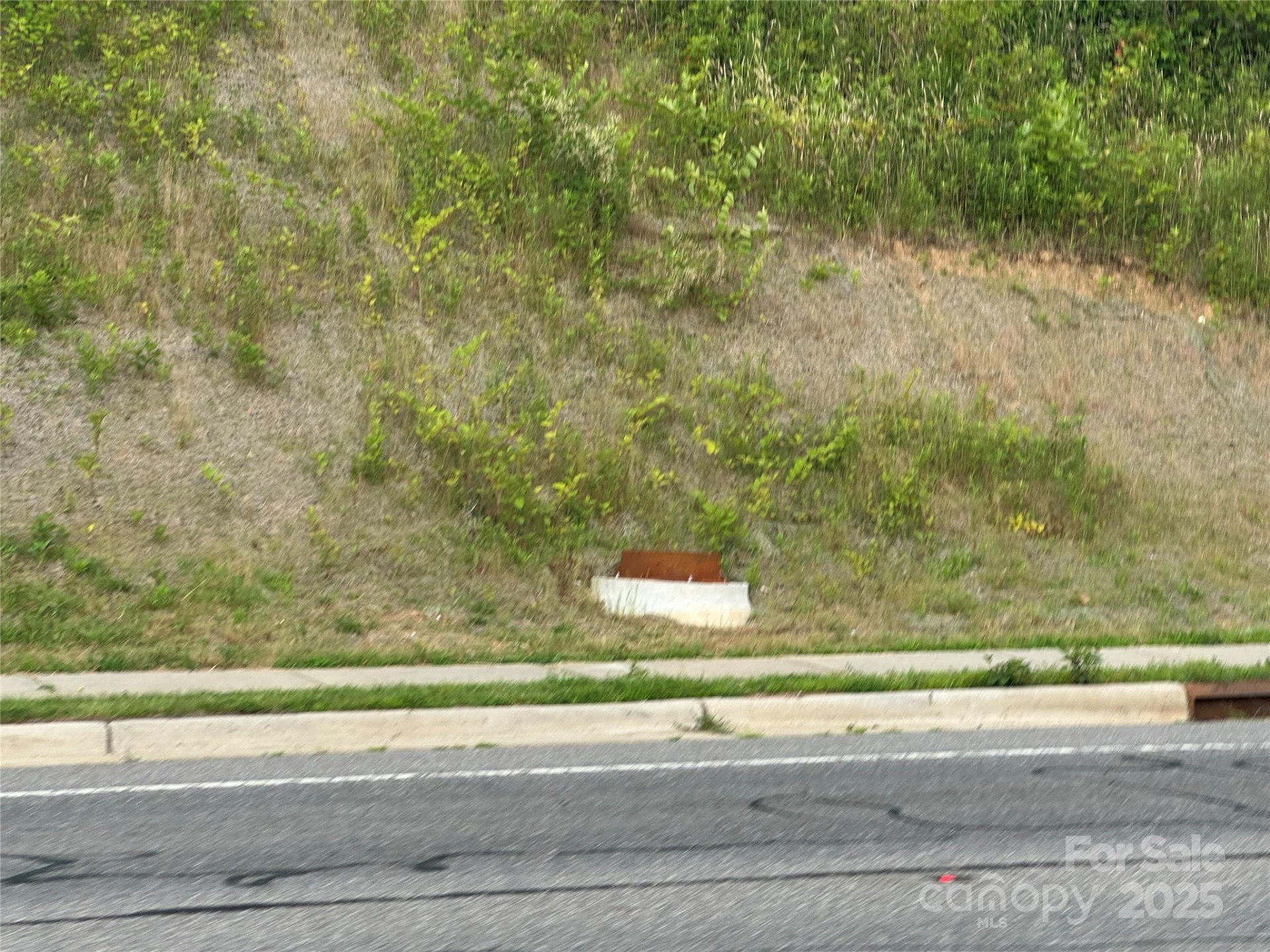 32 Hwy 19E Highway - Photo 17