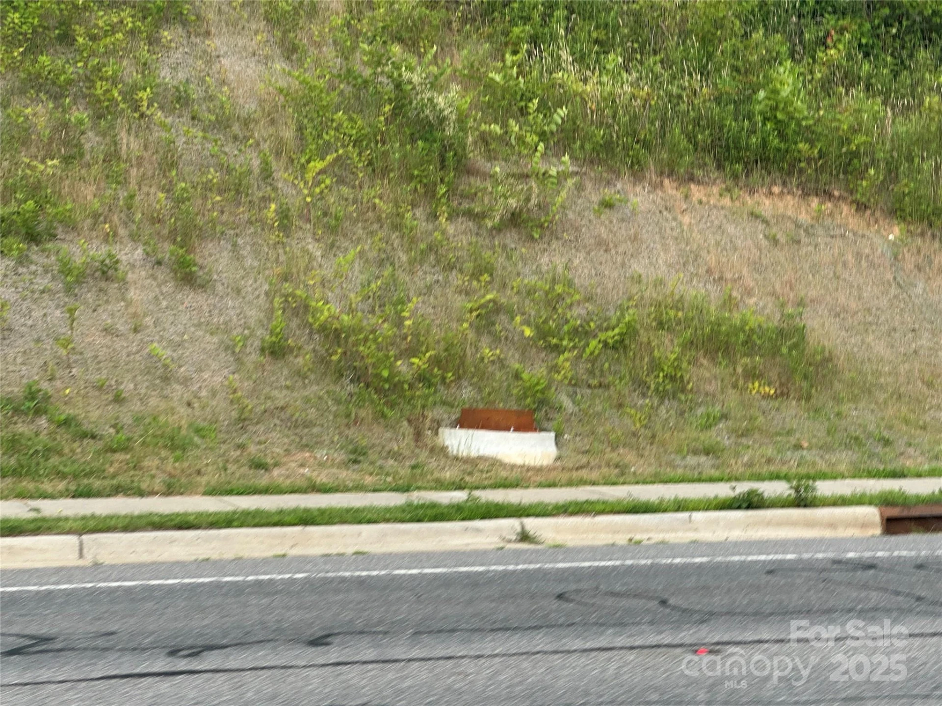32 Hwy 19E Highway - Photo 17