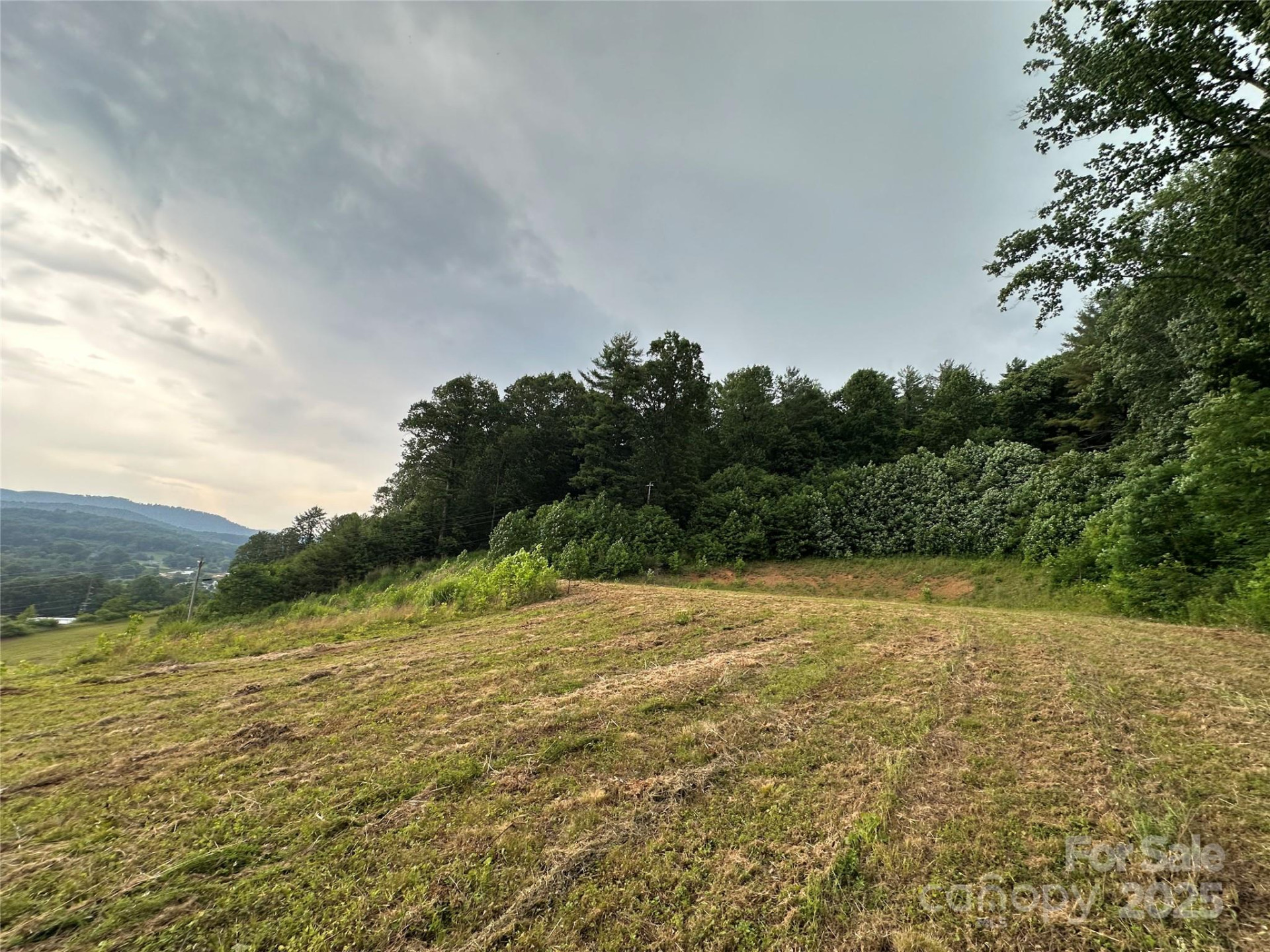 32 Hwy 19E Highway - Photo 4