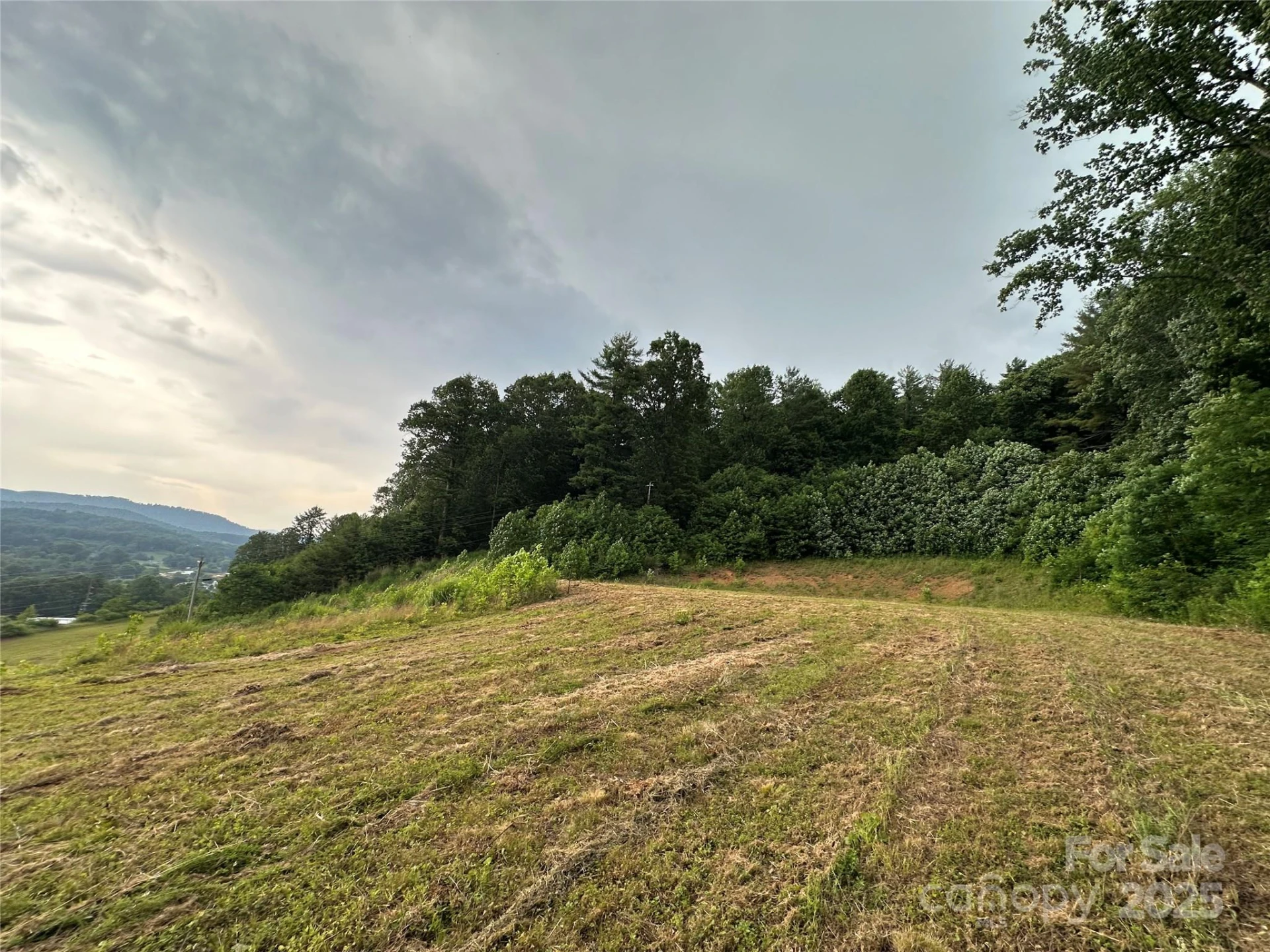 32 Hwy 19E Highway - Photo 4