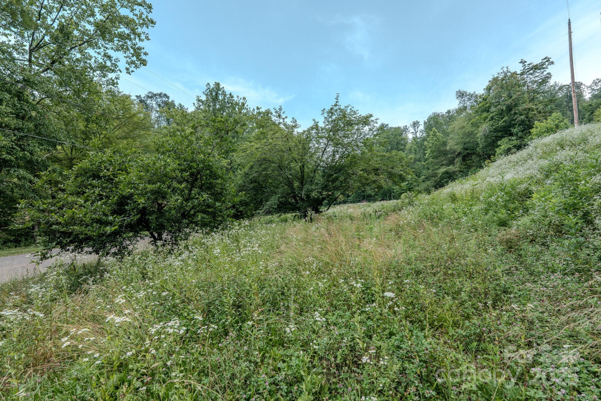 582 Poplar Creek Road - Photo 2