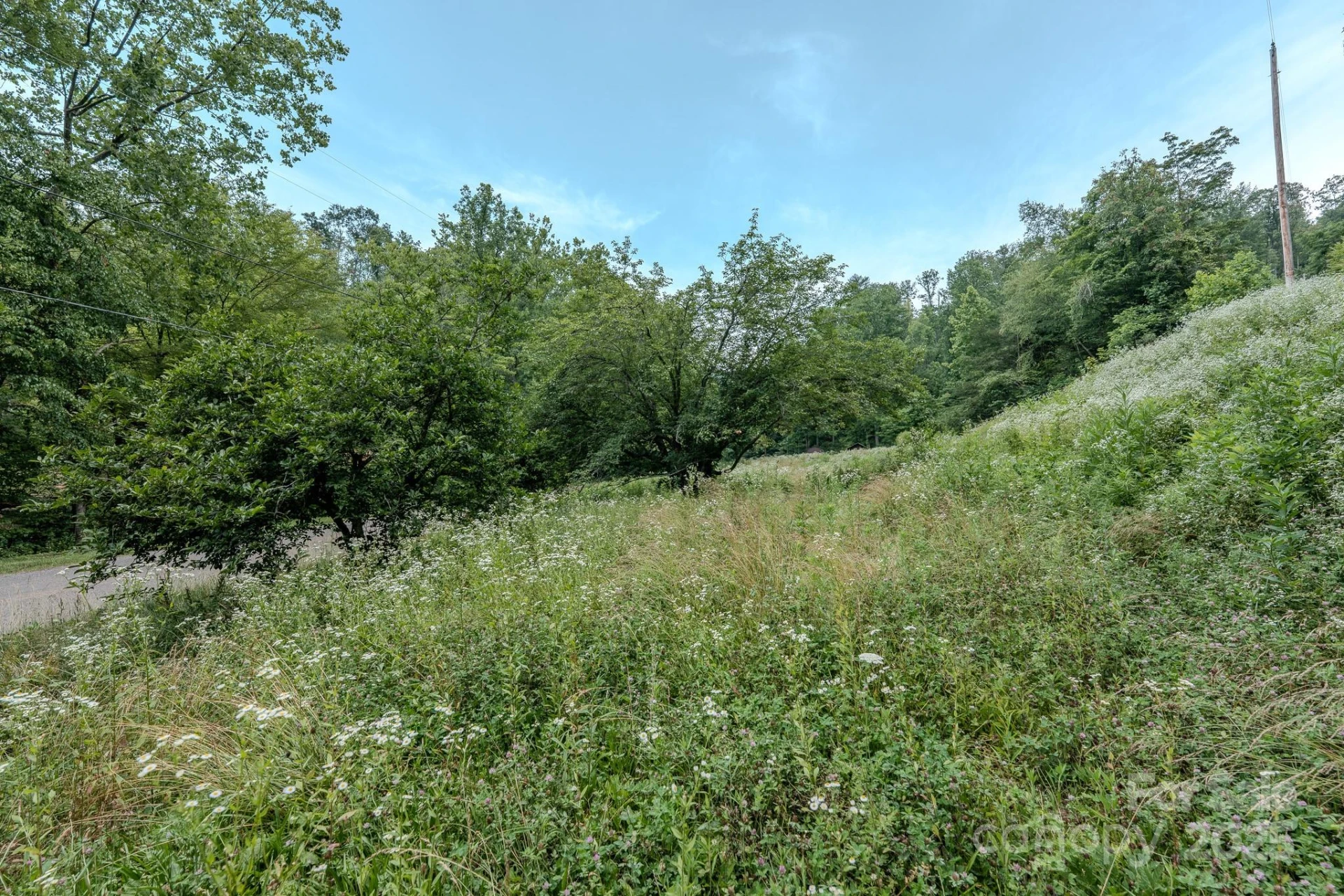 582 Poplar Creek Road - Photo 5