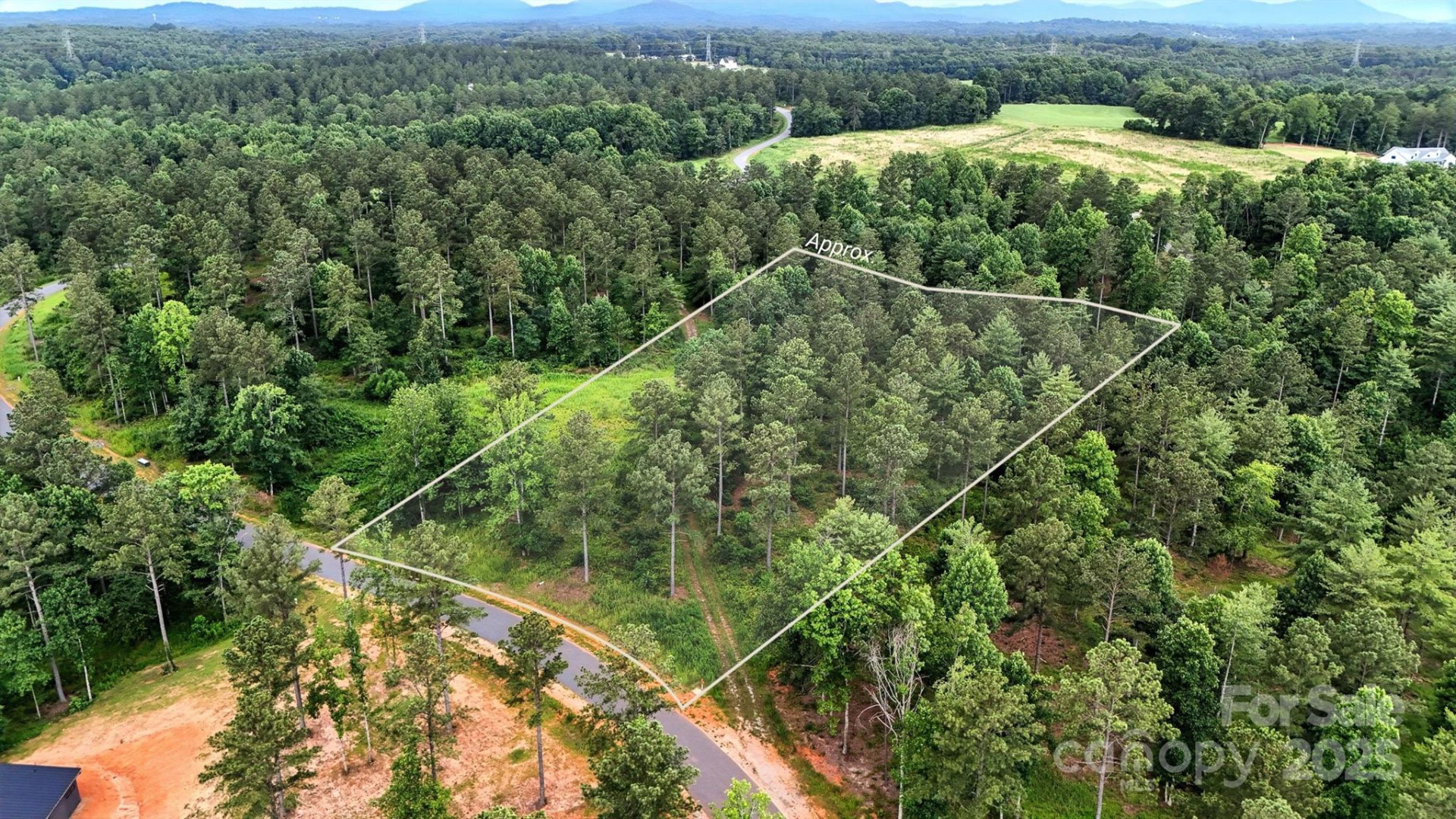 1933 Jumping Run #202