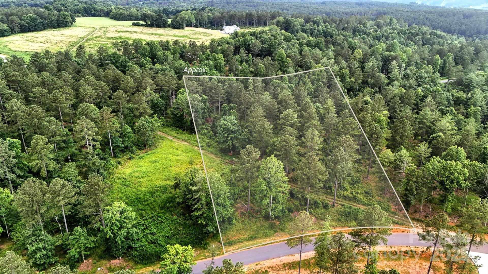 1933 Jumping Run #202 - Photo 2