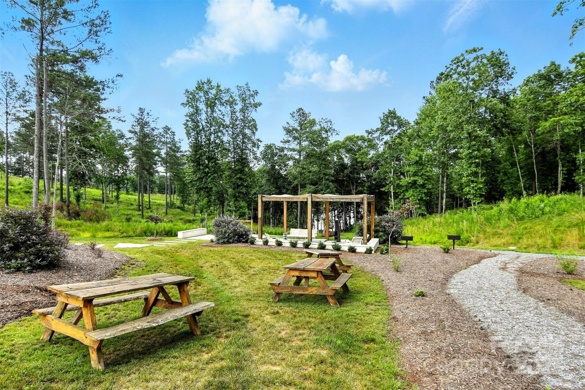 1933 Jumping Run #202 - Photo 13