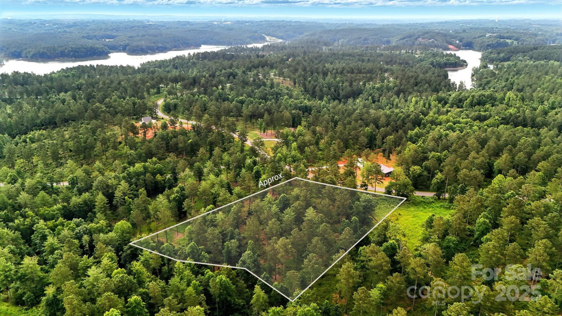 1933 Jumping Run #202 - Photo 3