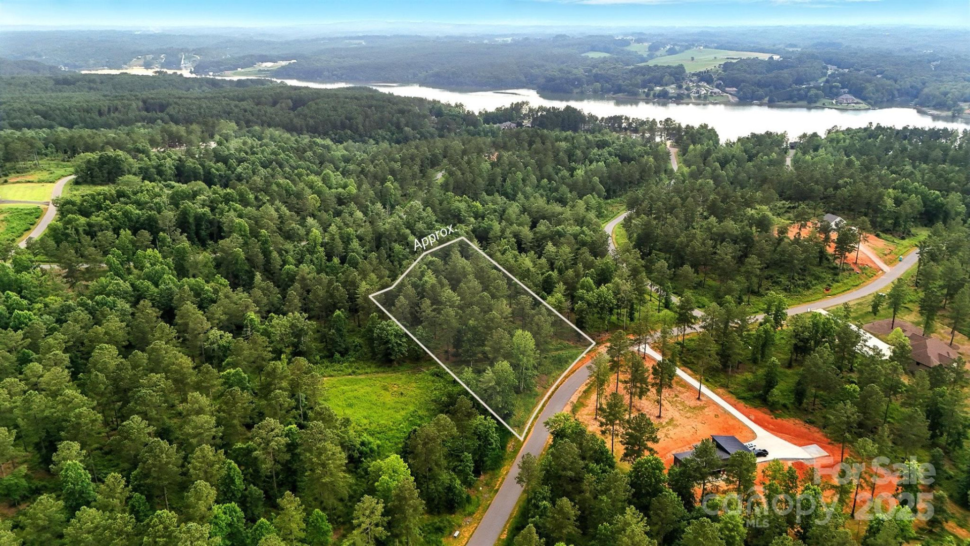 1933 Jumping Run #202 - Photo 4