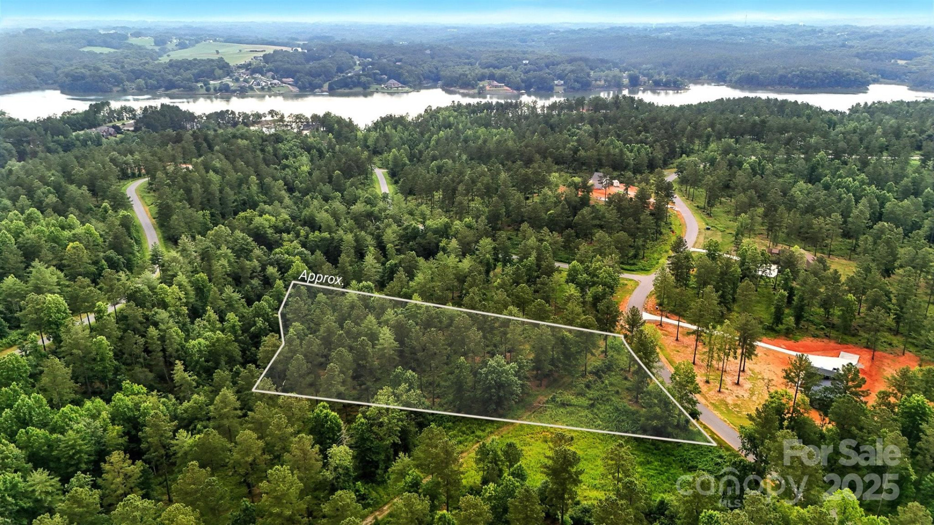 1933 Jumping Run #202 - Photo 5