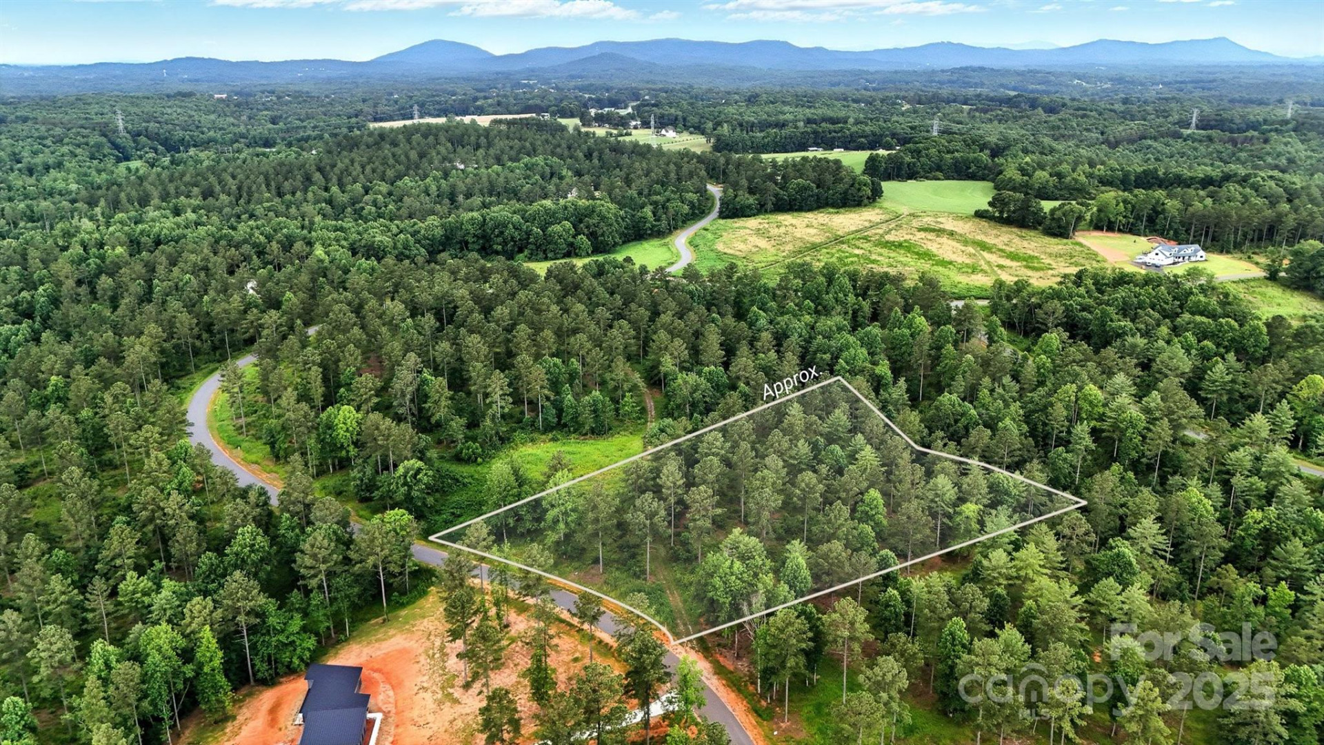 1933 Jumping Run #202 - Photo 6