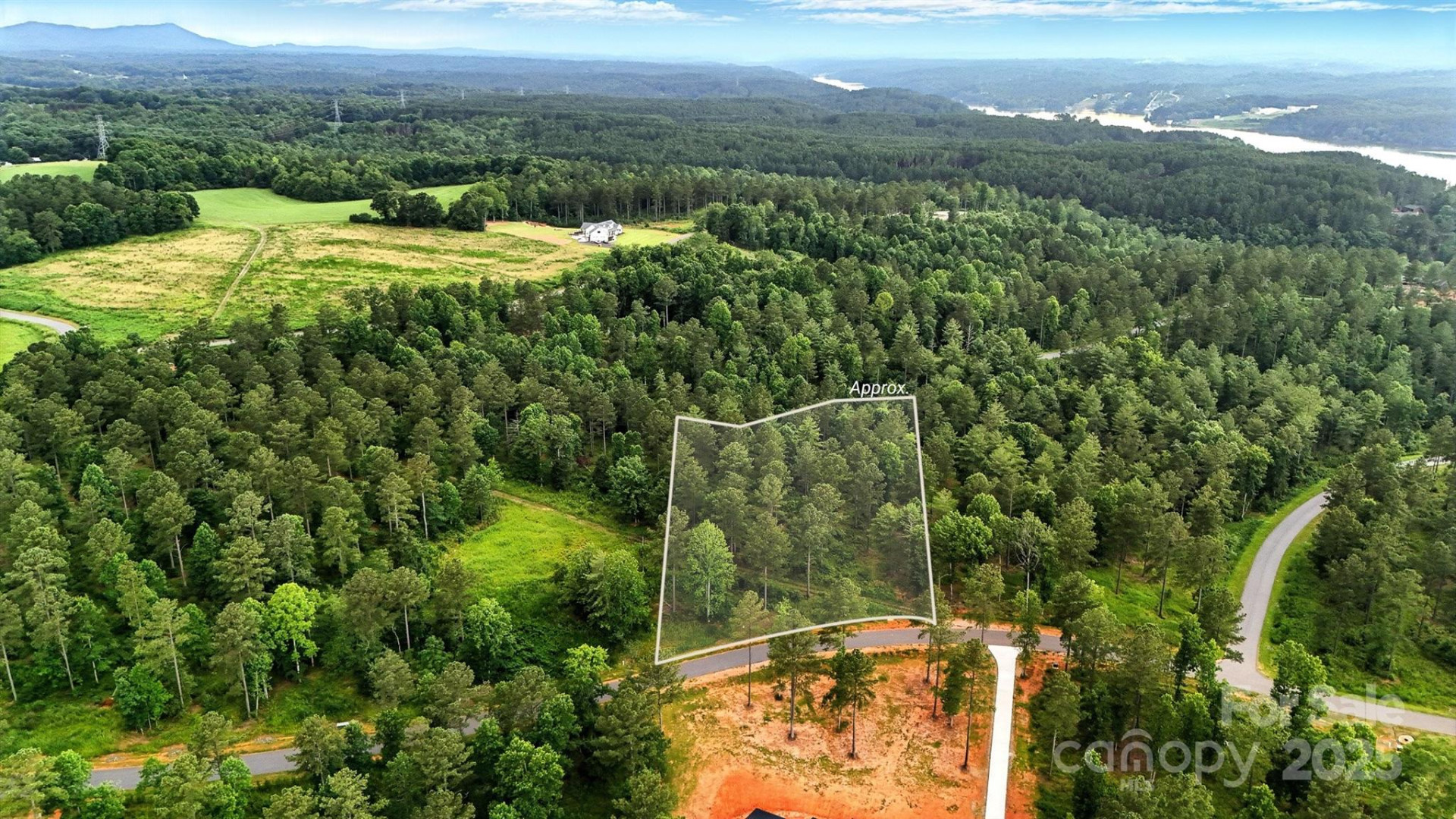 1933 Jumping Run #202 - Photo 7