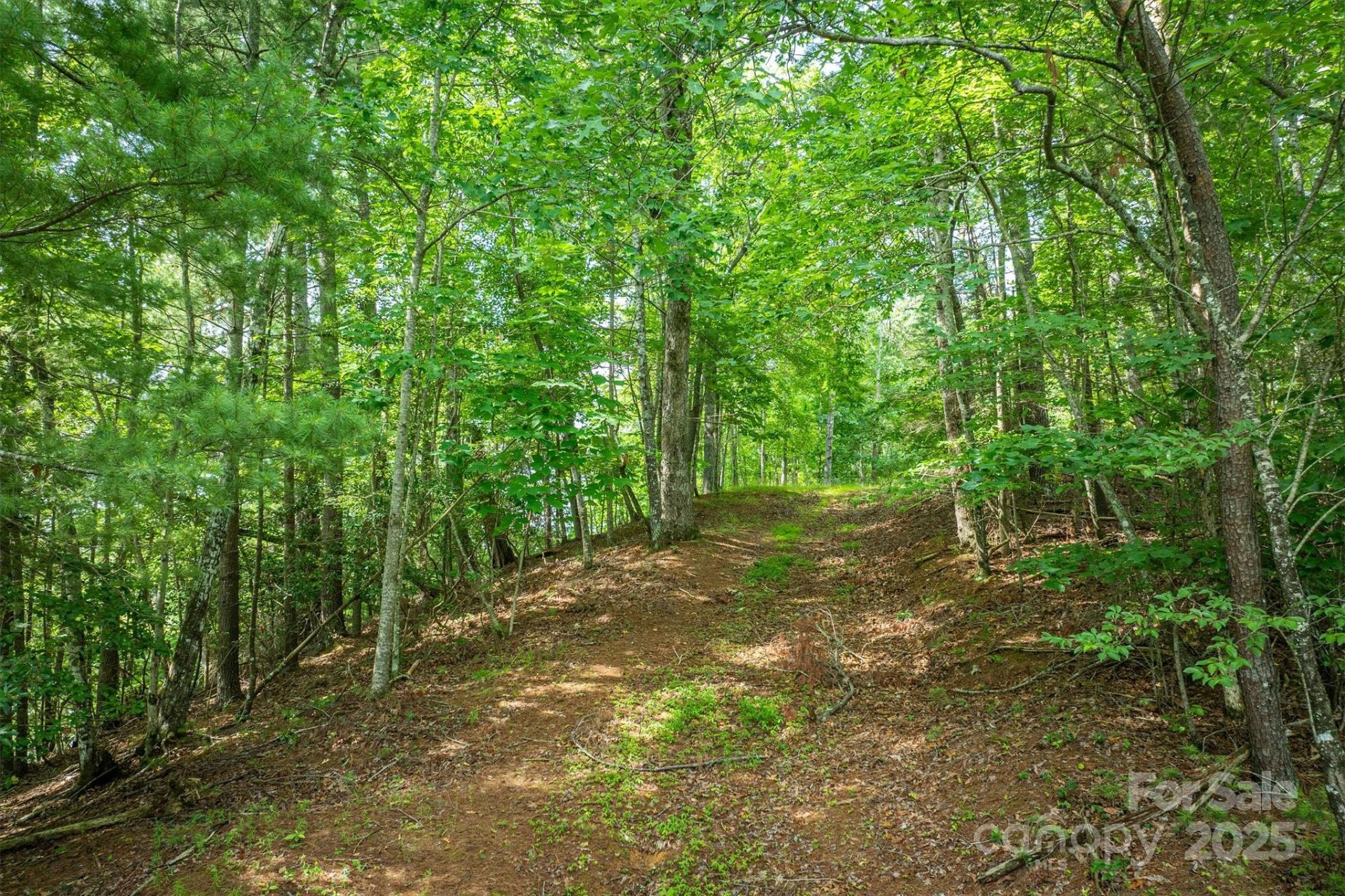 810 & TBD Marina Drive #1, 2 & 3 - Photo 12