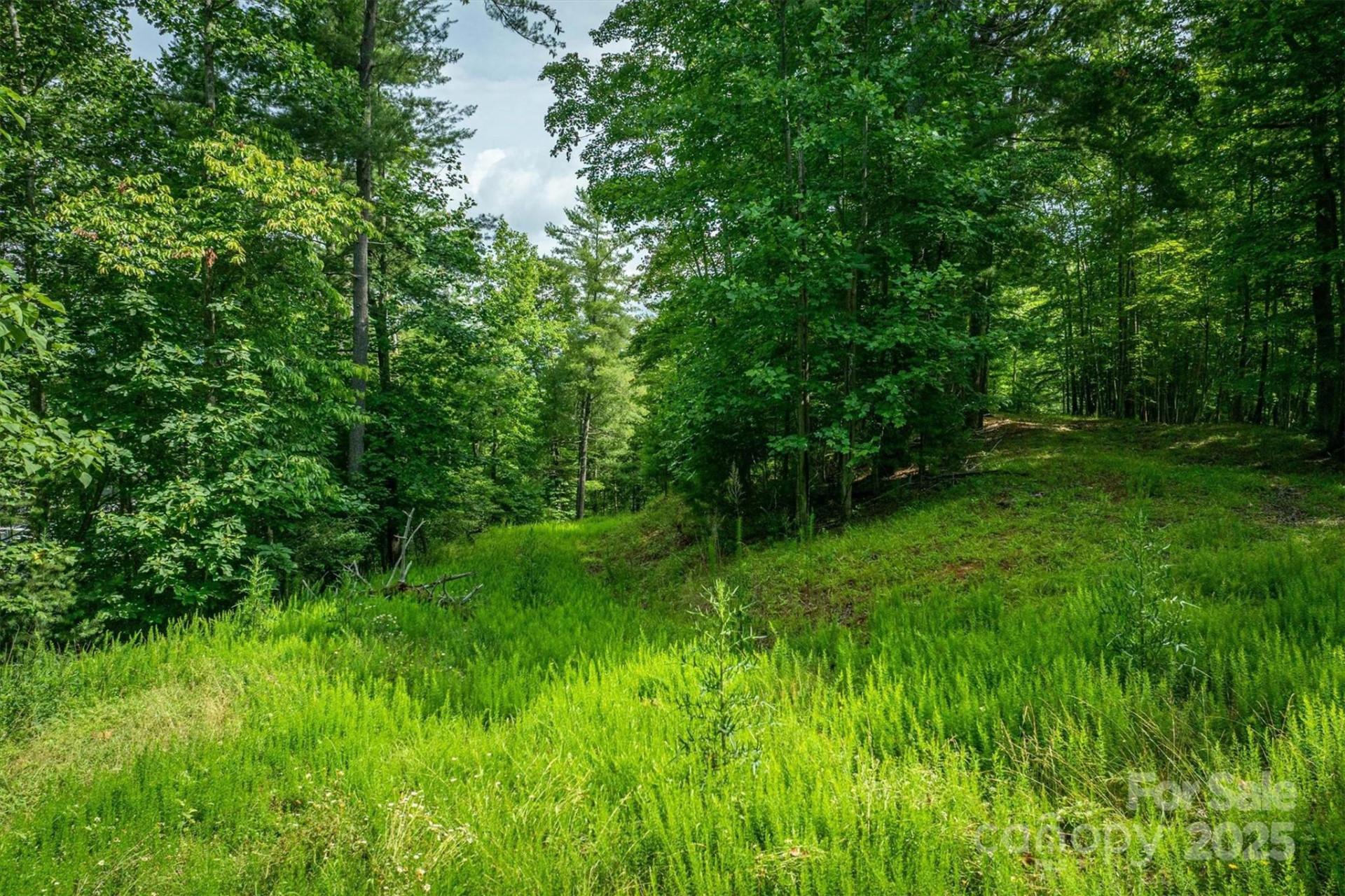 810 & TBD Marina Drive #1, 2 & 3 - Photo 15