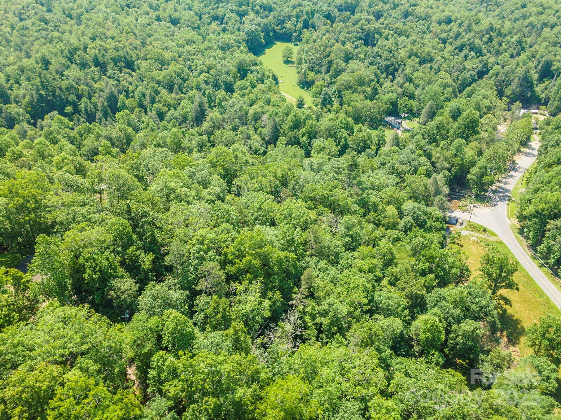 4 Roy Lane - Photo 7