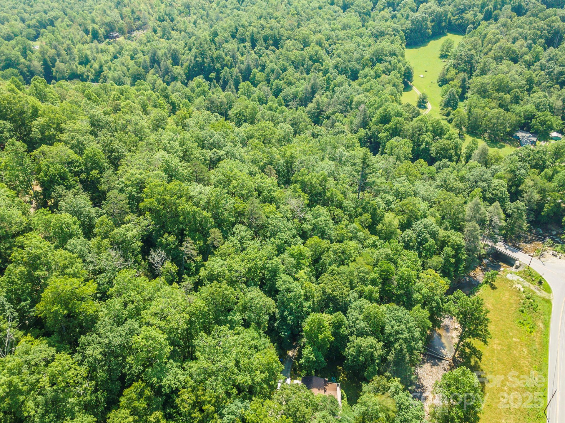 11 Roy Lane - Photo 6