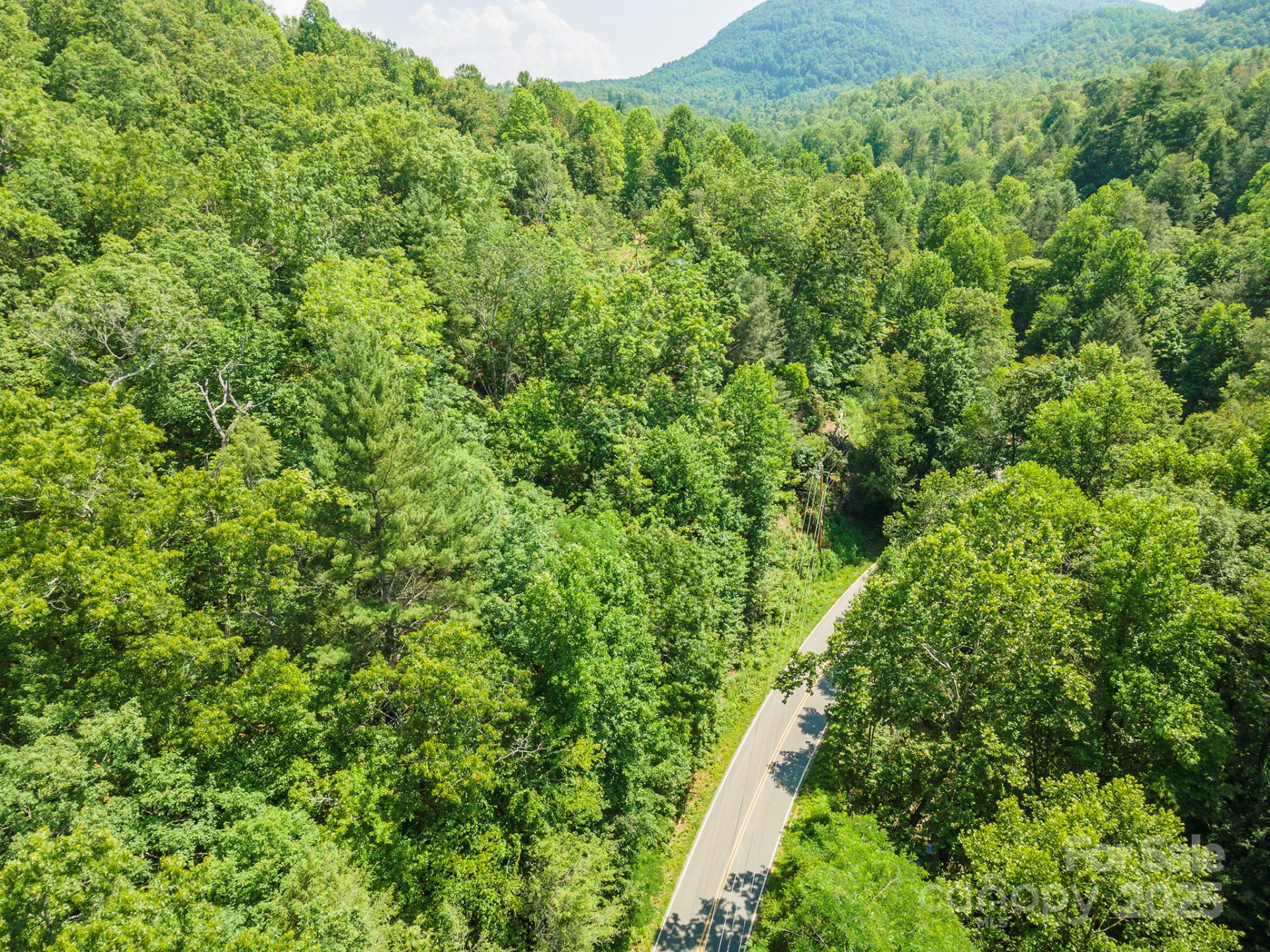 11 Roy Lane - Photo 8