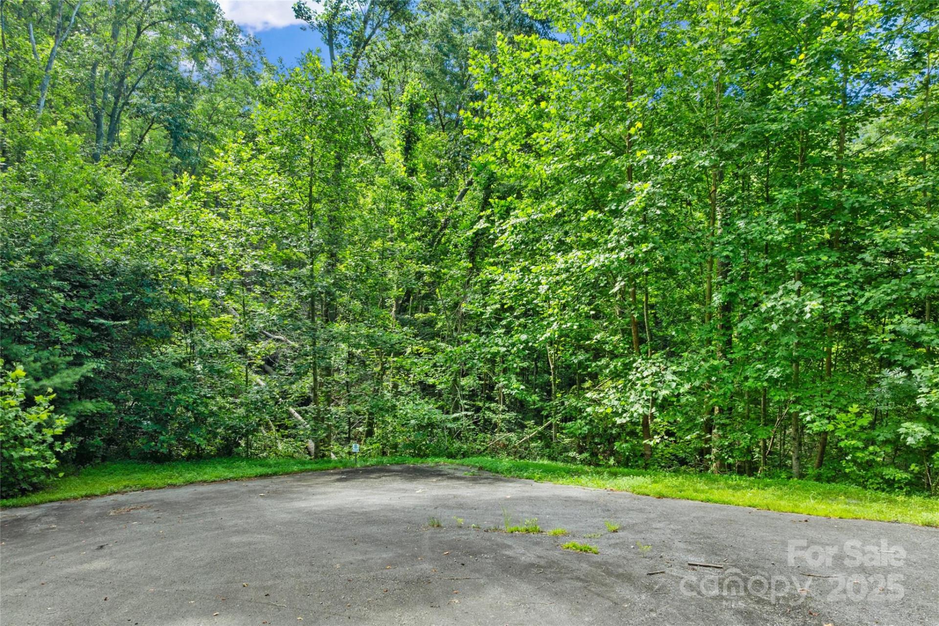 TBD Bear River Lodge Trail #132 - Photo 11