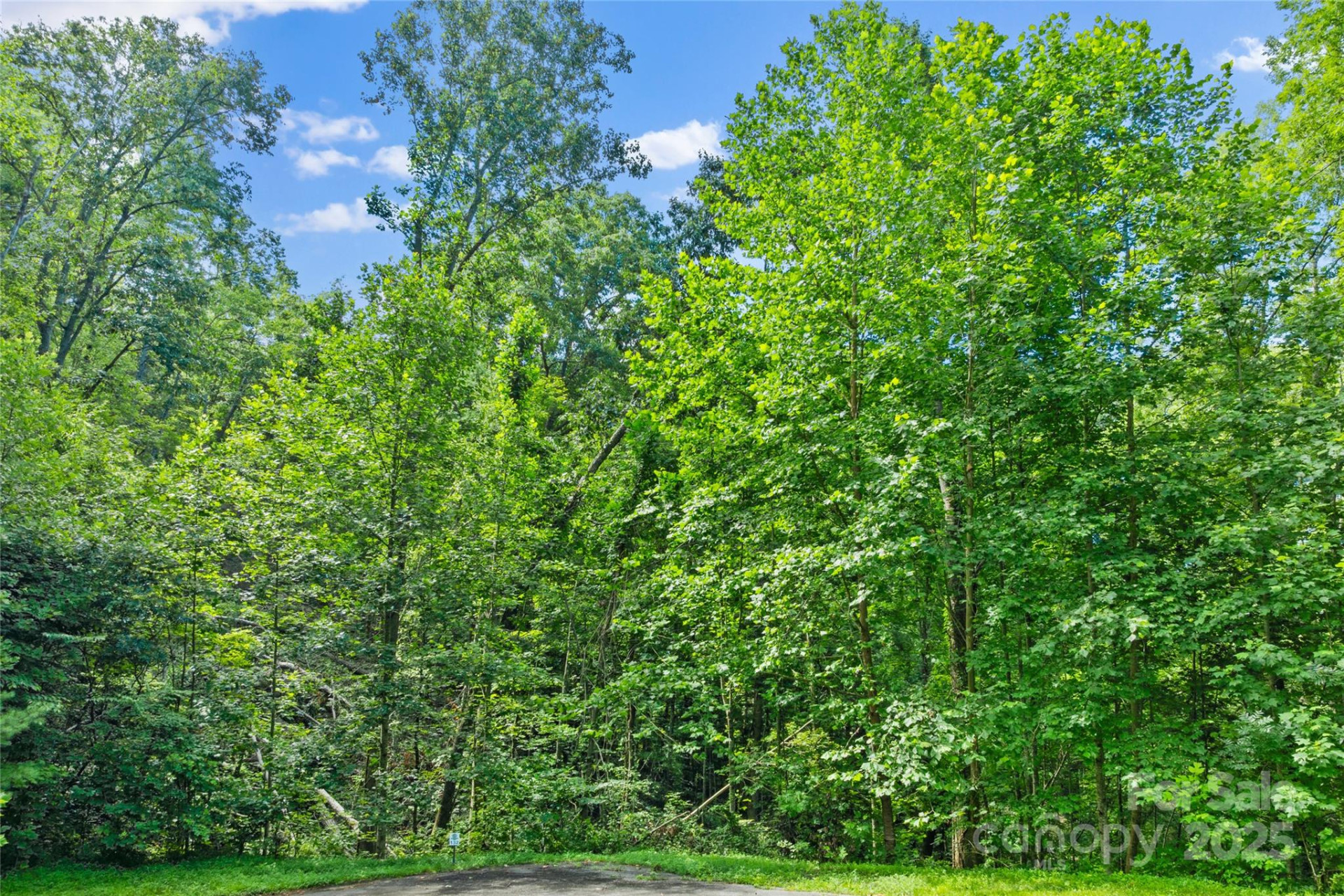 TBD Bear River Lodge Trail #132 - Photo 12