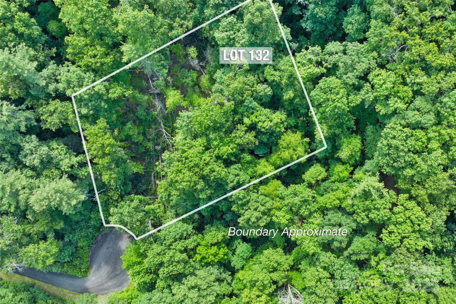 TBD Bear River Lodge Trail #132 - Photo 13