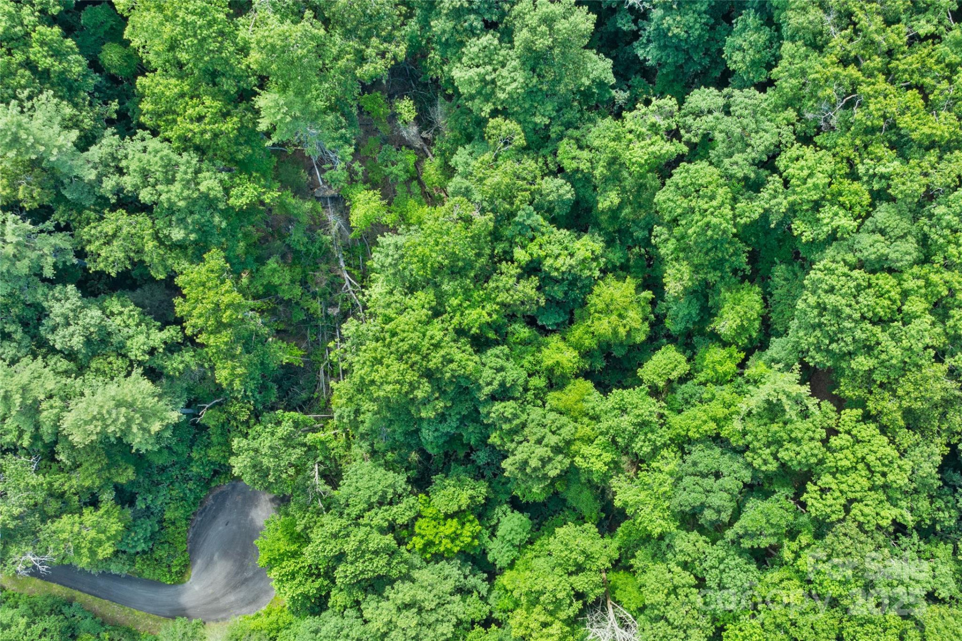 TBD Bear River Lodge Trail #132 - Photo 14