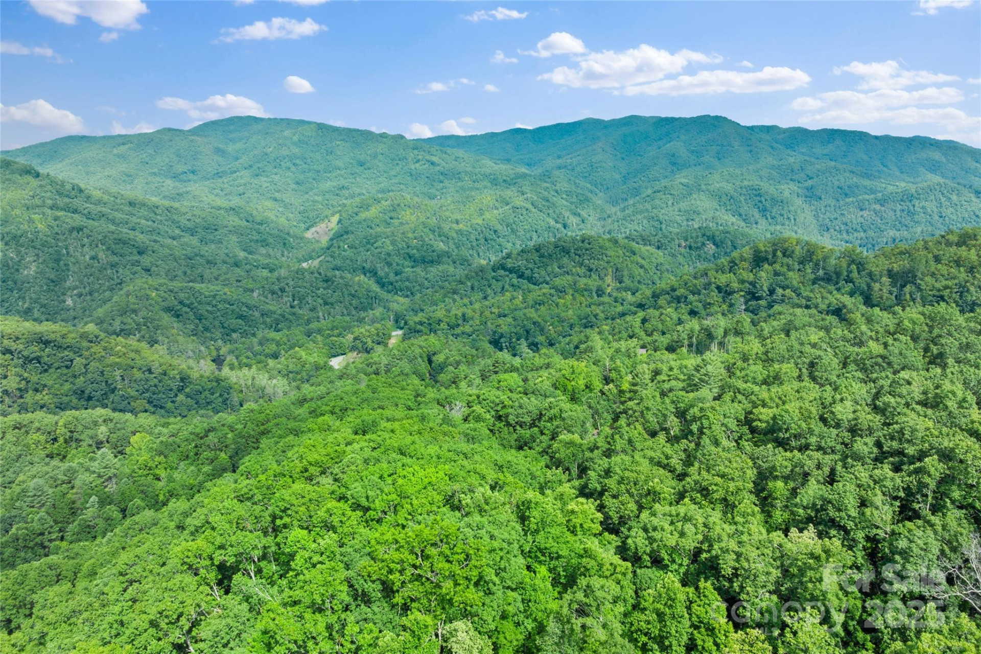 TBD Bear River Lodge Trail #132 - Photo 16