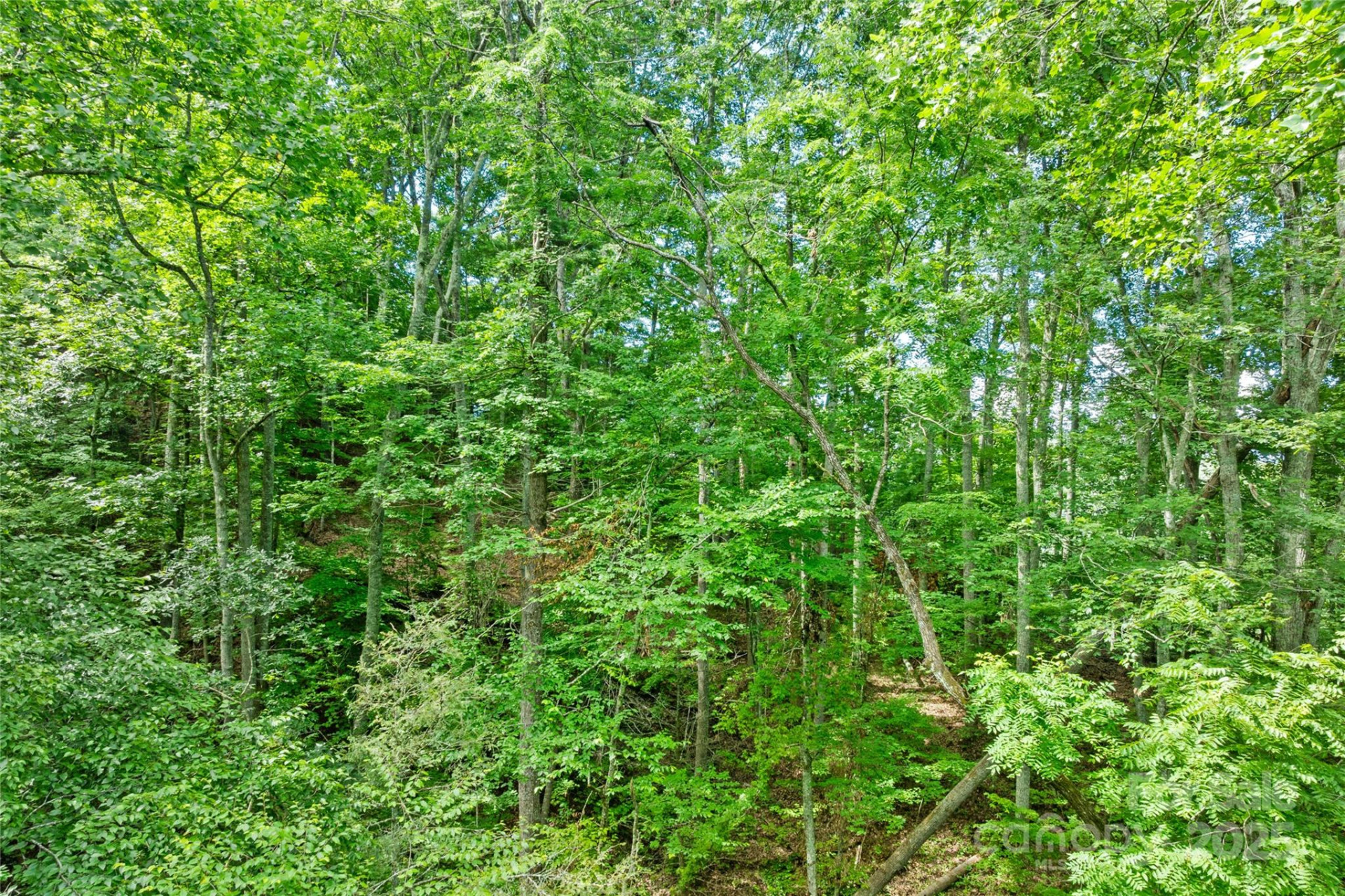 TBD Bear River Lodge Trail #132 - Photo 17