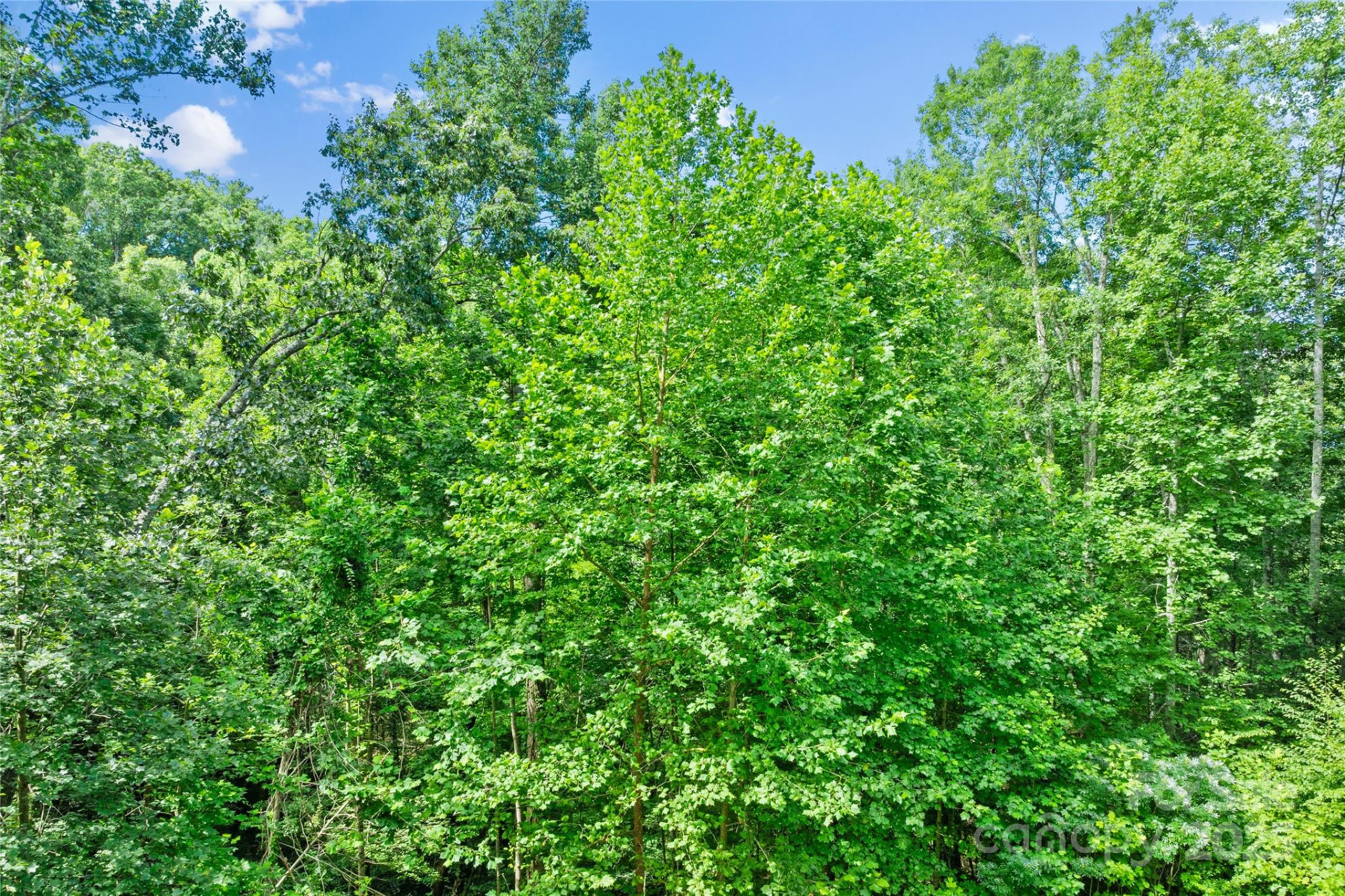 TBD Bear River Lodge Trail #132 - Photo 18