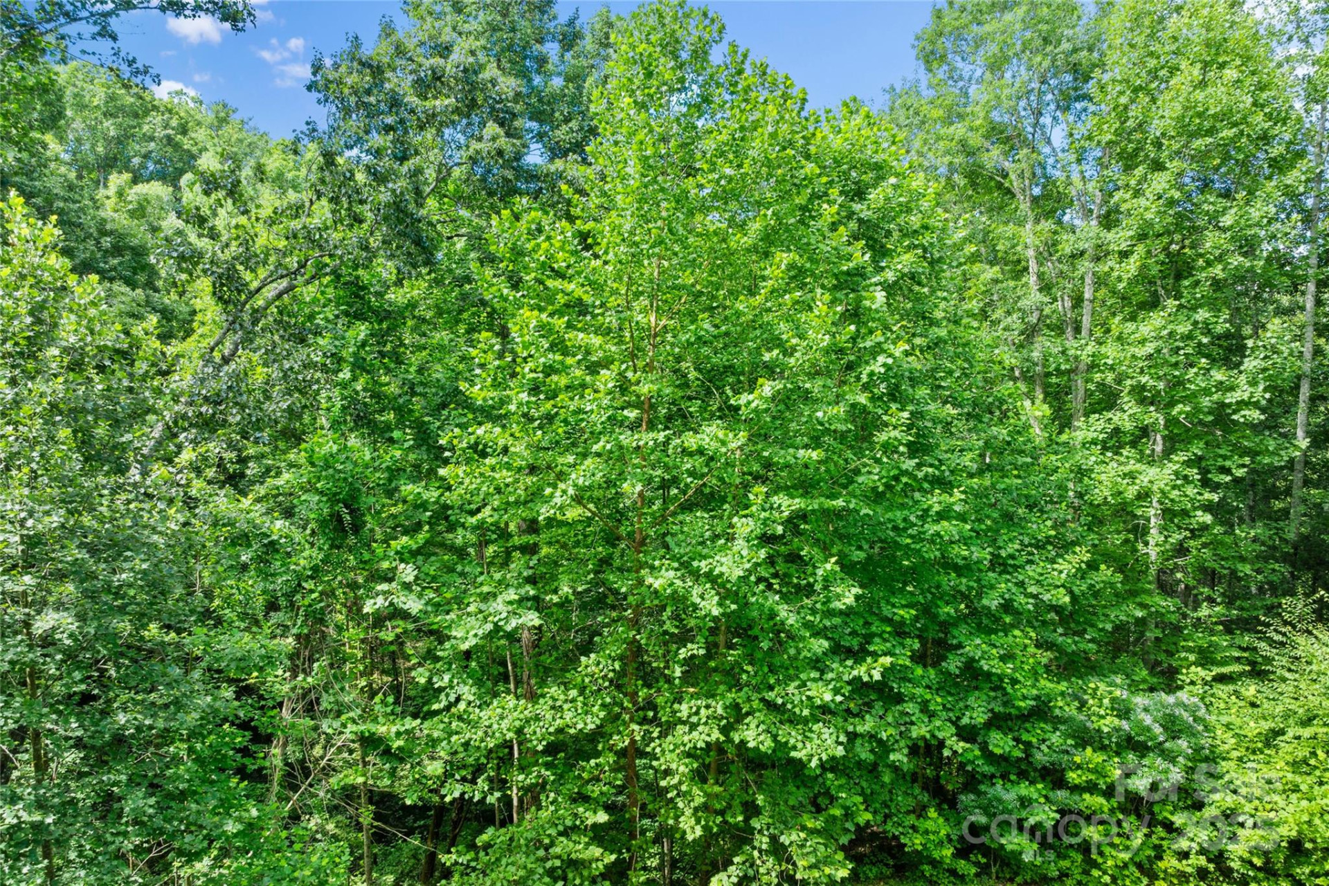 TBD Bear River Lodge Trail #132 - Photo 19