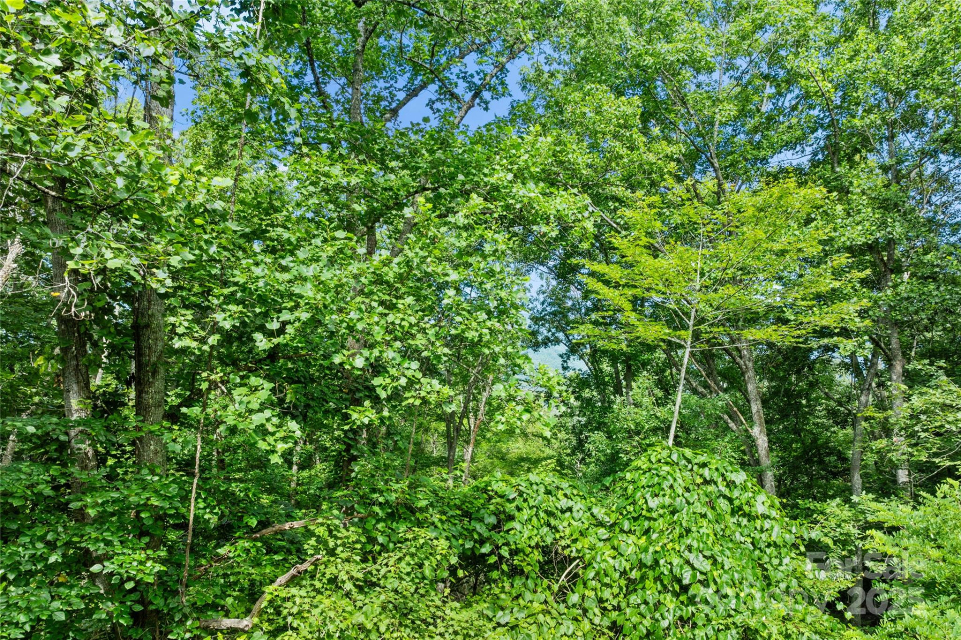 TBD Bear River Lodge Trail #132 - Photo 20