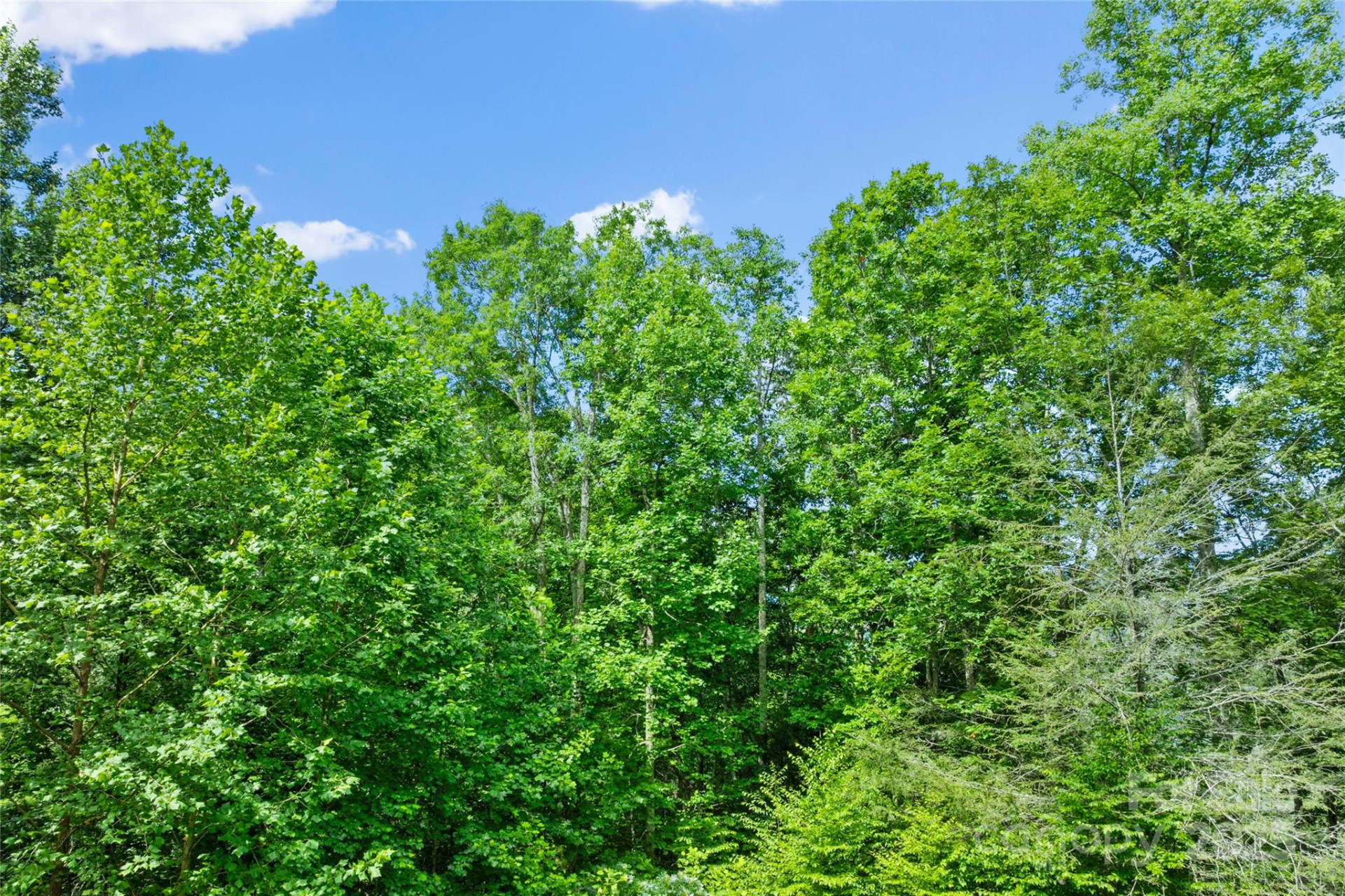 TBD Bear River Lodge Trail #132 - Photo 24